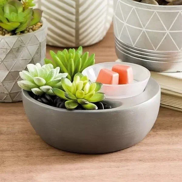 Little Garden Scentsy Warmer styled in a bright room with succulents with wax in the dish