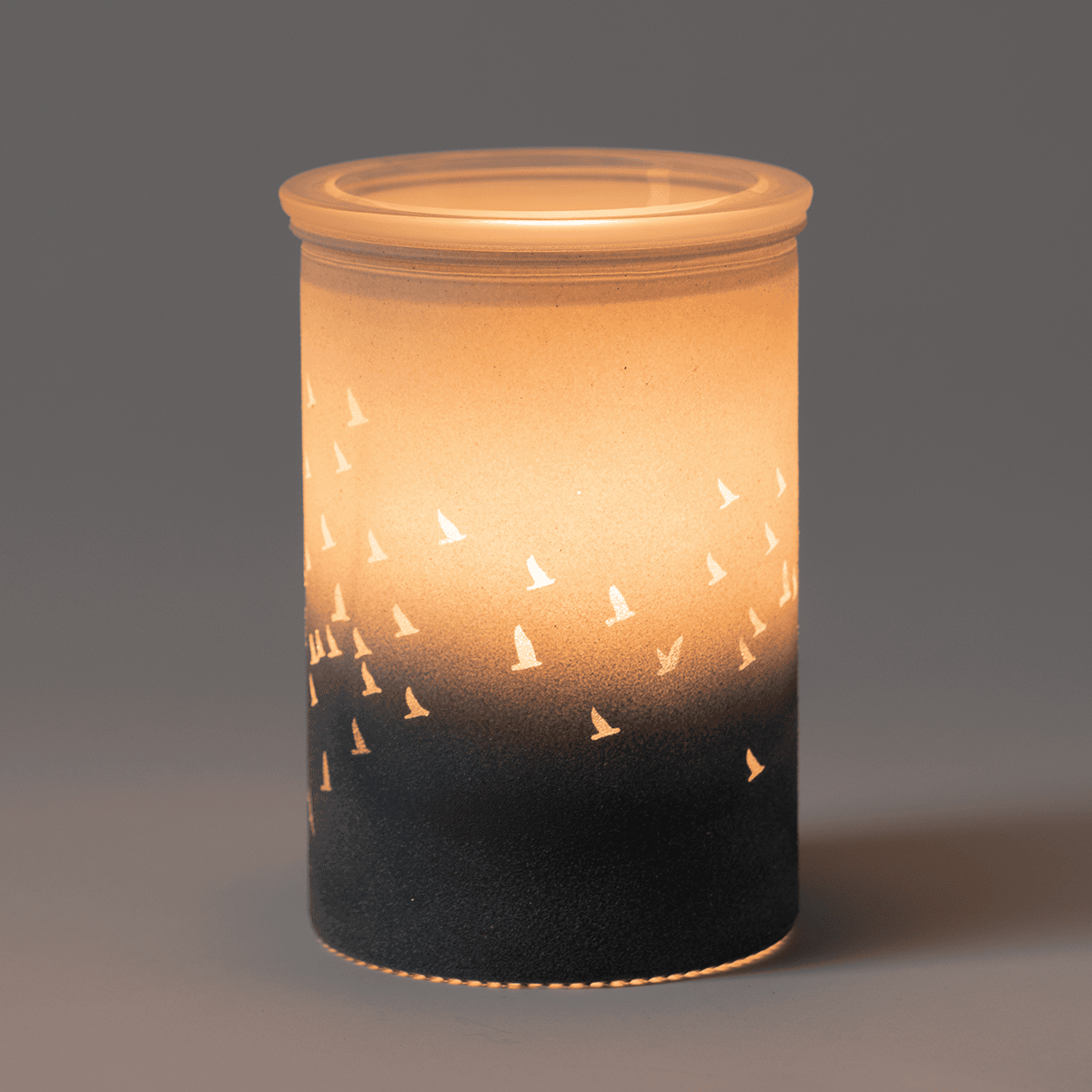 Waves & Wings Scentsy Warmer casting soft light through bird silhouettes in a dark room