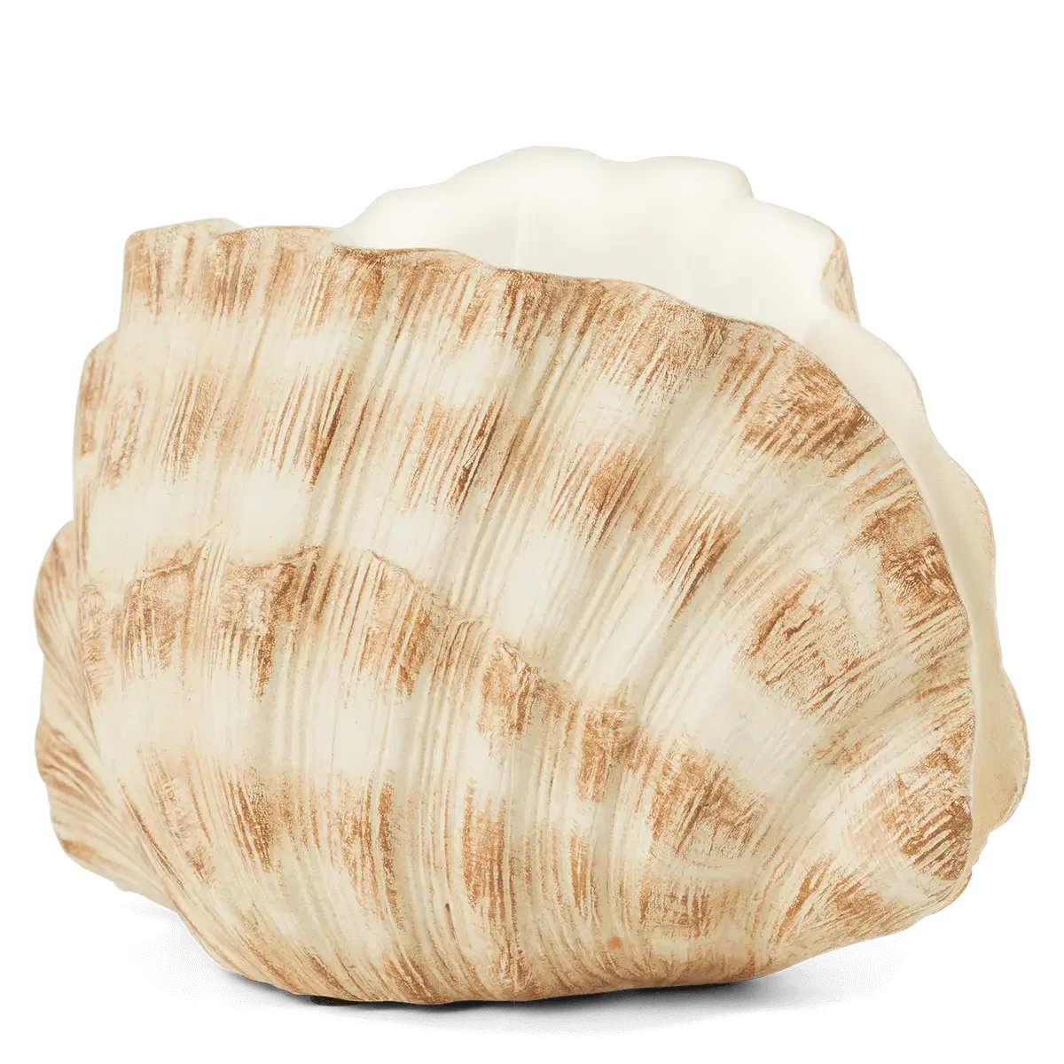 Seashell Scentsy element warmer side view on a white background