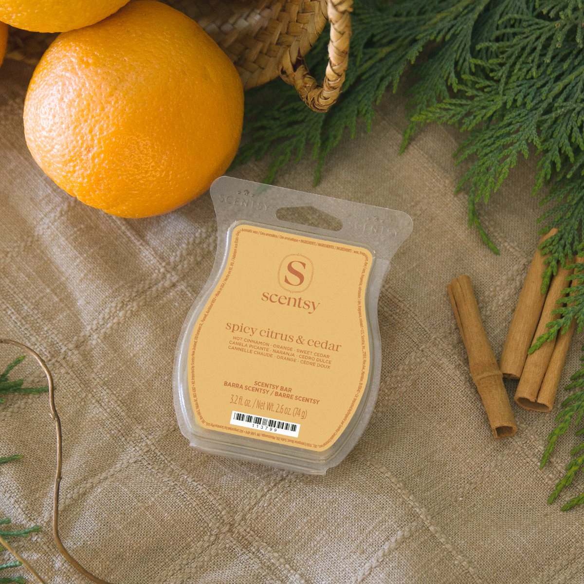 Scentsy Spicy Citrus & Cedar Wax Bar from the Harvest Collection 2026 featuring ground cinnamon, fresh-split cedar planks and candied orange peel