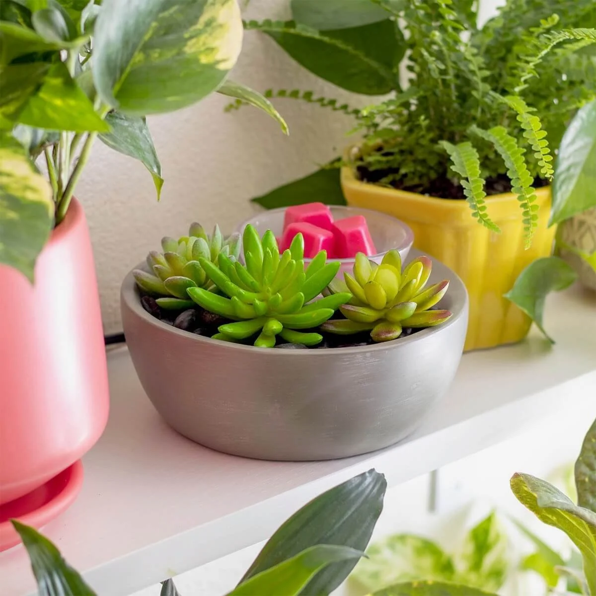 Little Garden Scentsy Warmer on a tabletop with a calm, garden-inspired look