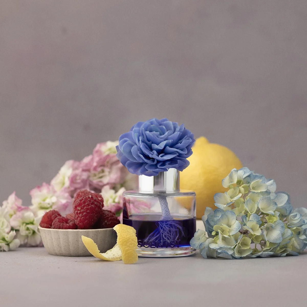 Scentsy Hydrangea Bouquet Dahlia Darling Fragrance Flower styled with hydrangea blooms, raspberry accents and citrus notes on a decorative background