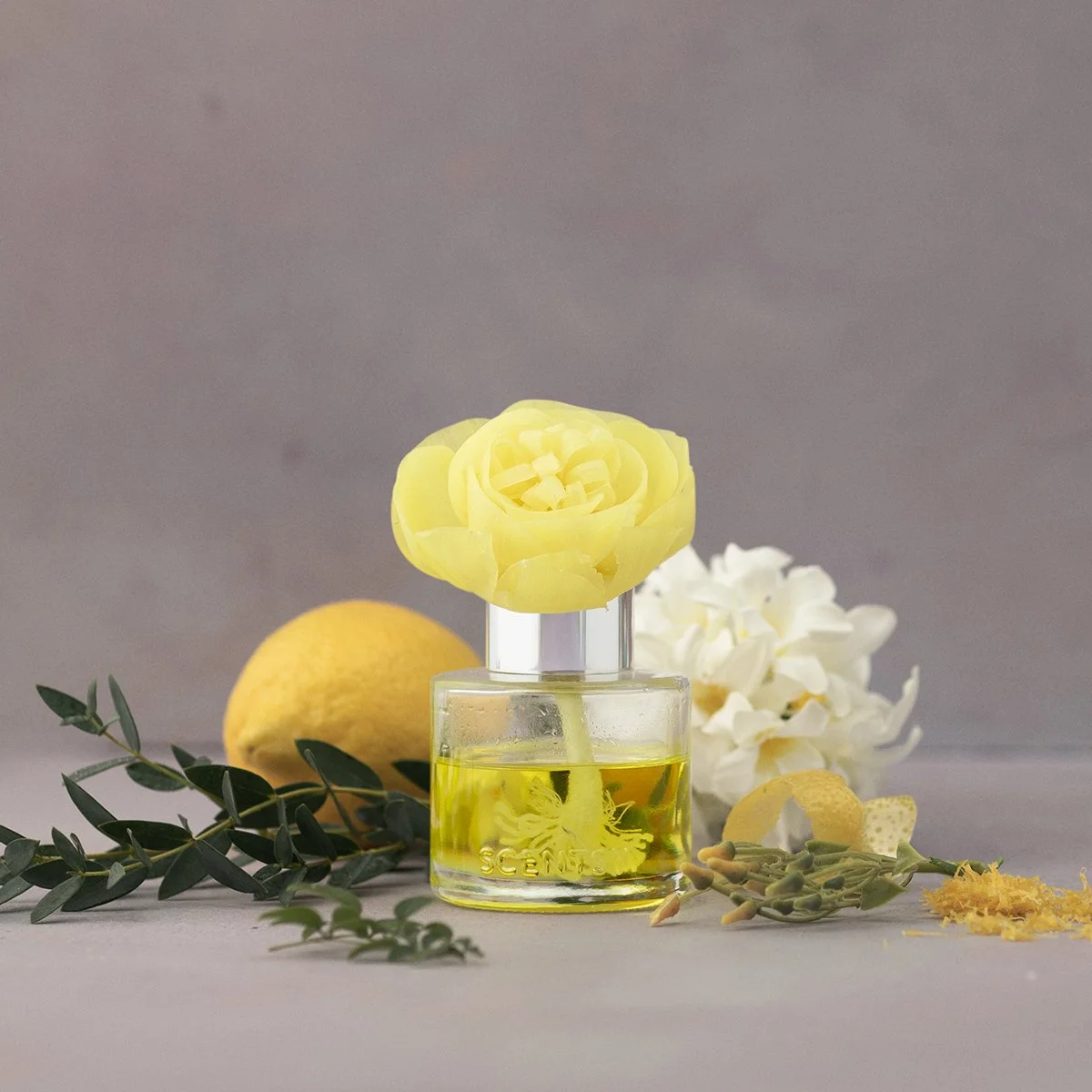 Scentsy Honeysuckle Dew Buttercup Belle Fragrance Flower styled with honeysuckle blooms, jasmine petals and lemon accents on a decorative background.