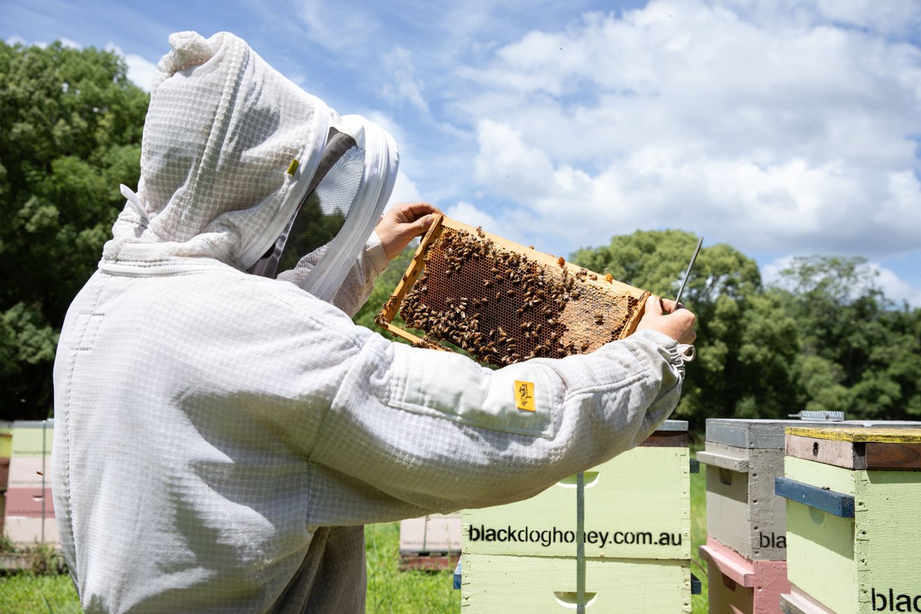 Photo-Fables_BDH-Environmenta-Images_PF_WEB_05108.jpg