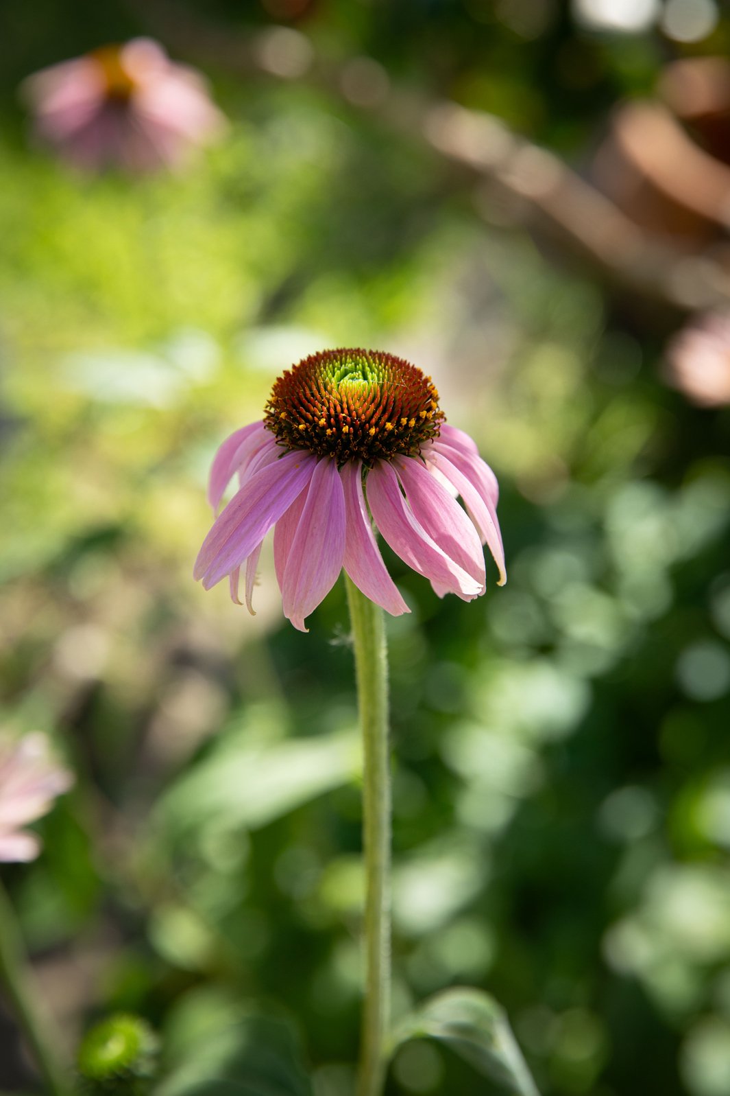 Photo-Fables_Business-Portraits_Odonata_web_474A7366.jpg