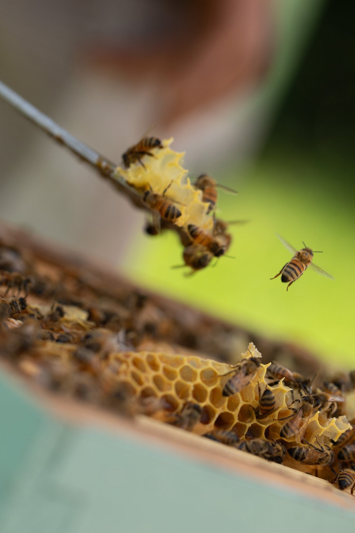Photo-Fables_BDH-Environmenta-Images_WEB_474A0274.jpg