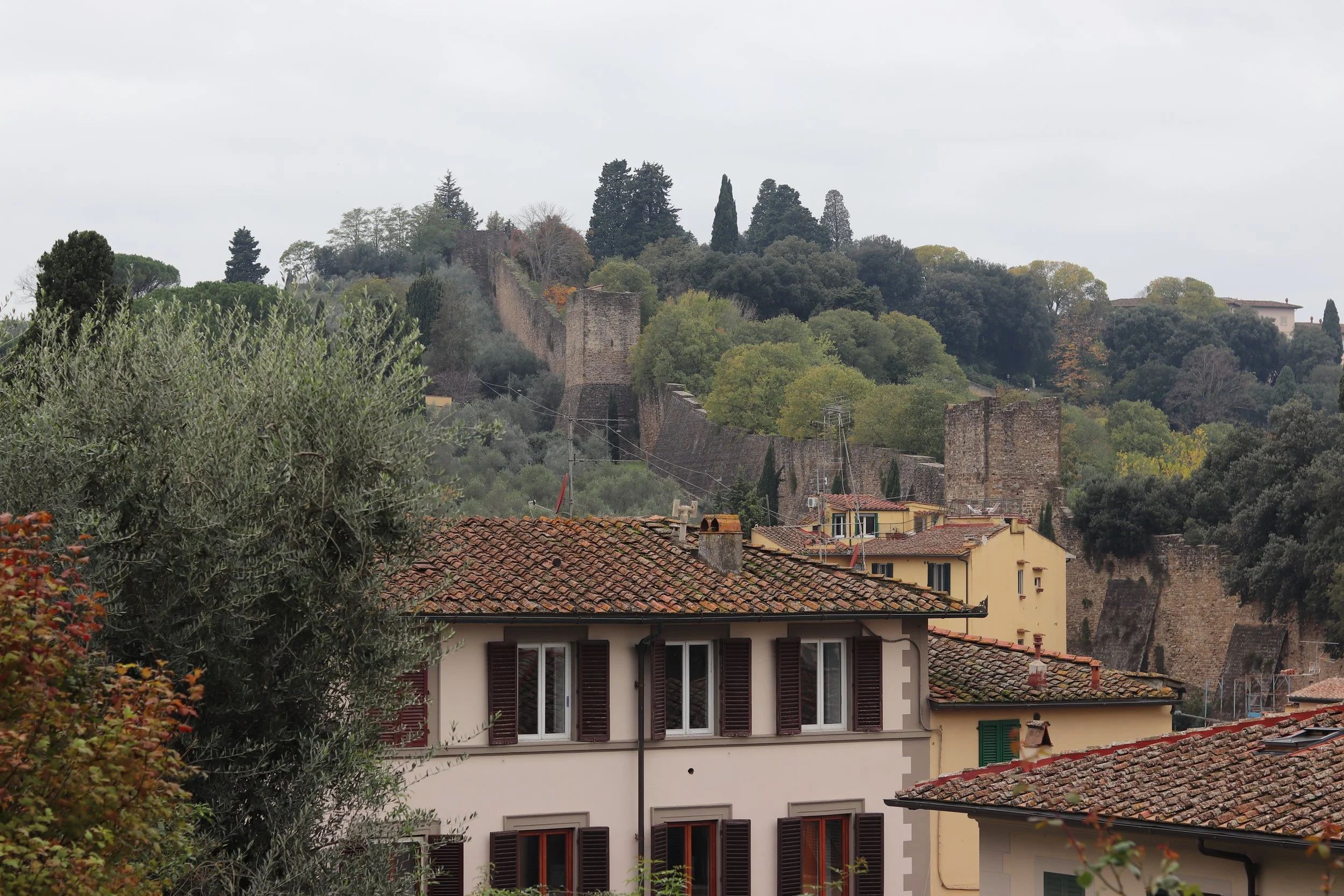 IMG_7610.JPG