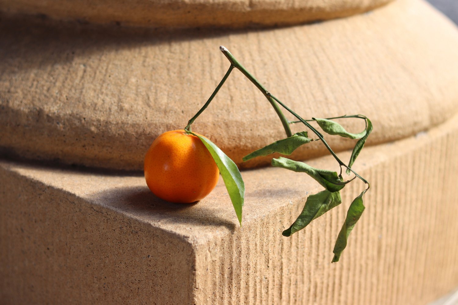 California Citrus
