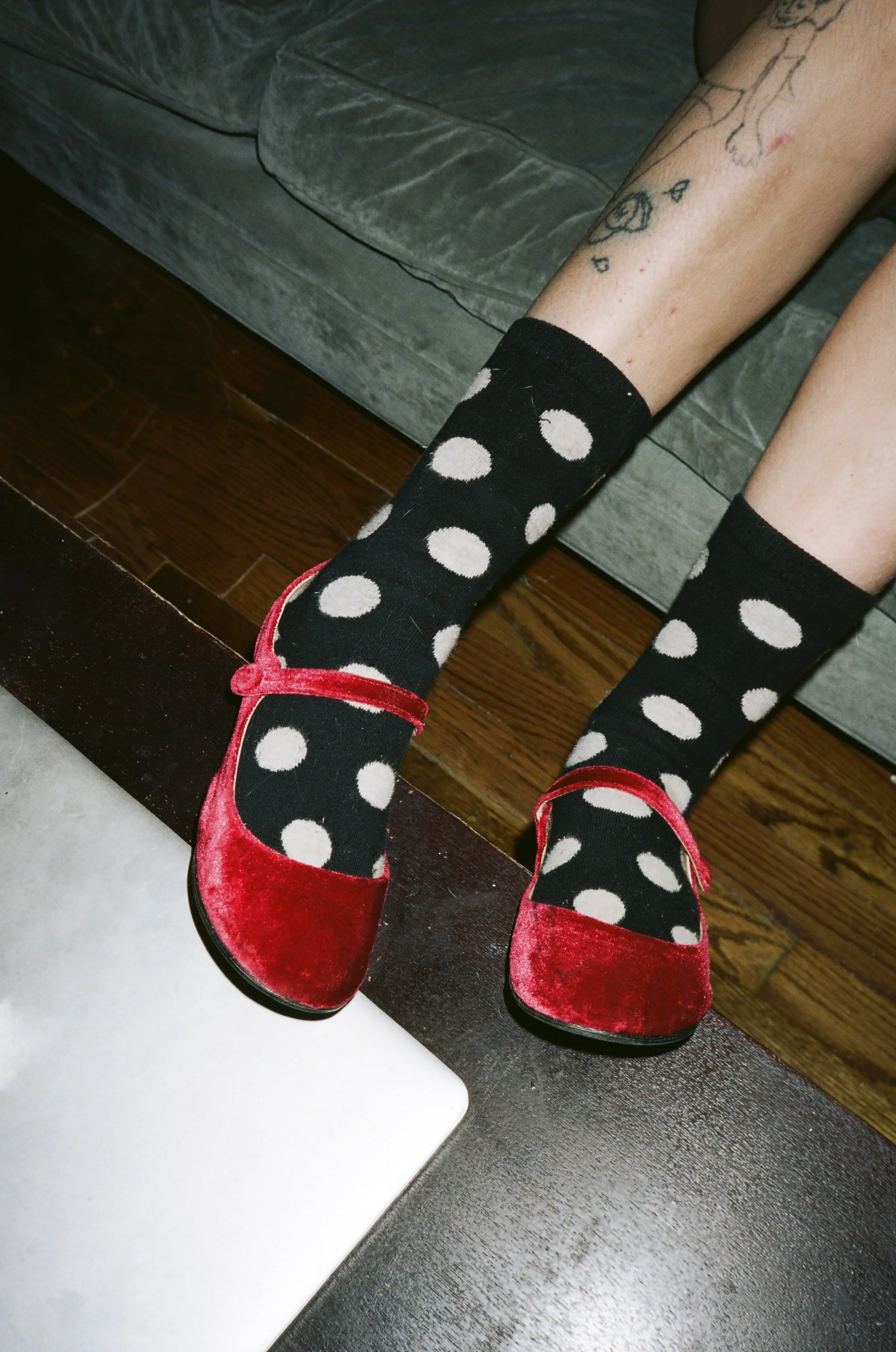 24120006 cropped 2.jpg