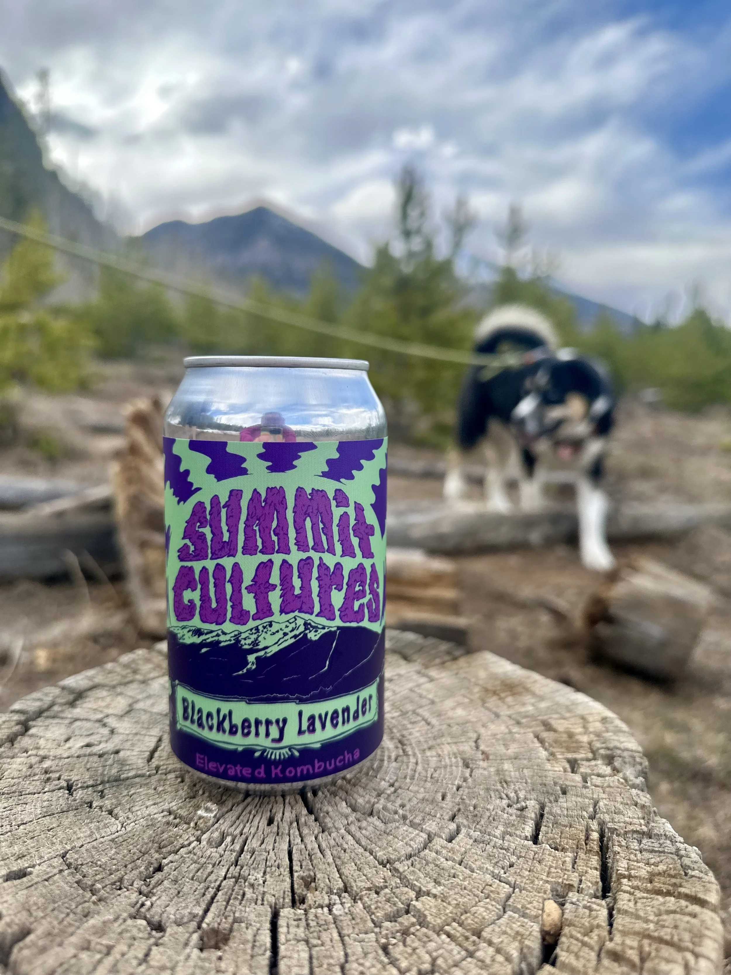 Blackberry Lavender .jpg