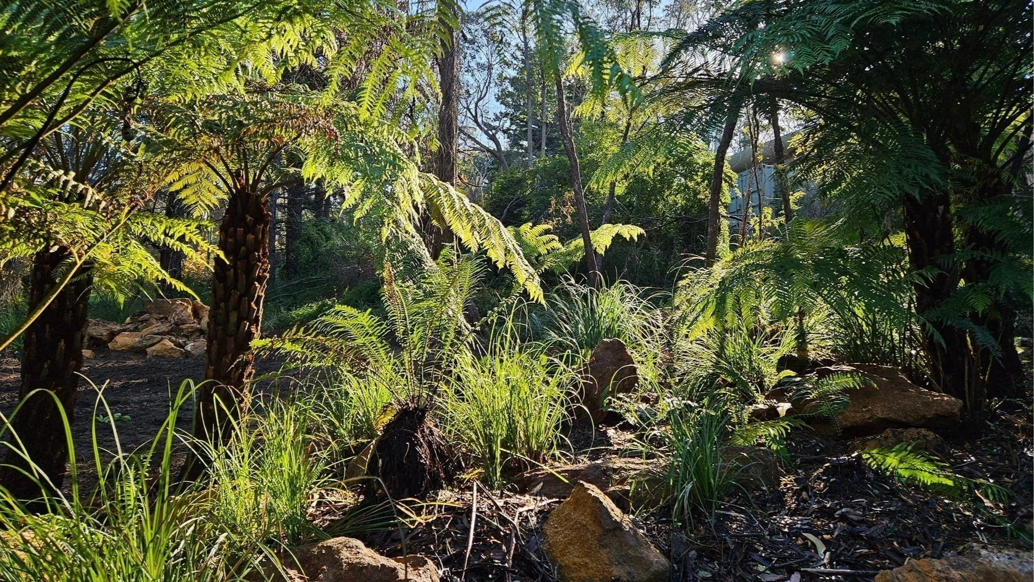 earthwood-greenscapes-natural-lndscapes.jpg
