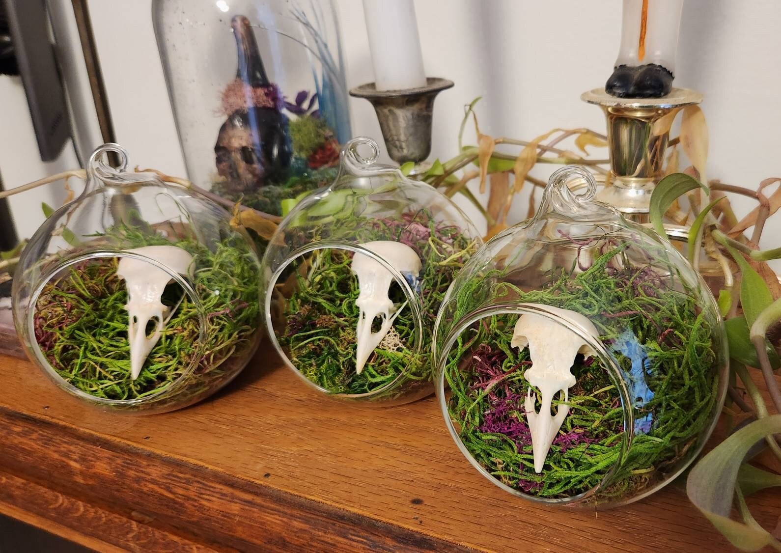 https://i.etsystatic.com/11919564/r/il/e33890/4594233977/il_fullxfull.4594233977_ofes.jpg