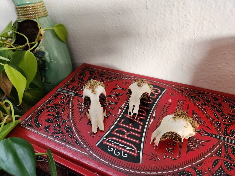 https://i.etsystatic.com/11919564/r/il/f8ac53/4438293093/il_fullxfull.4438293093_4ycz.jpg