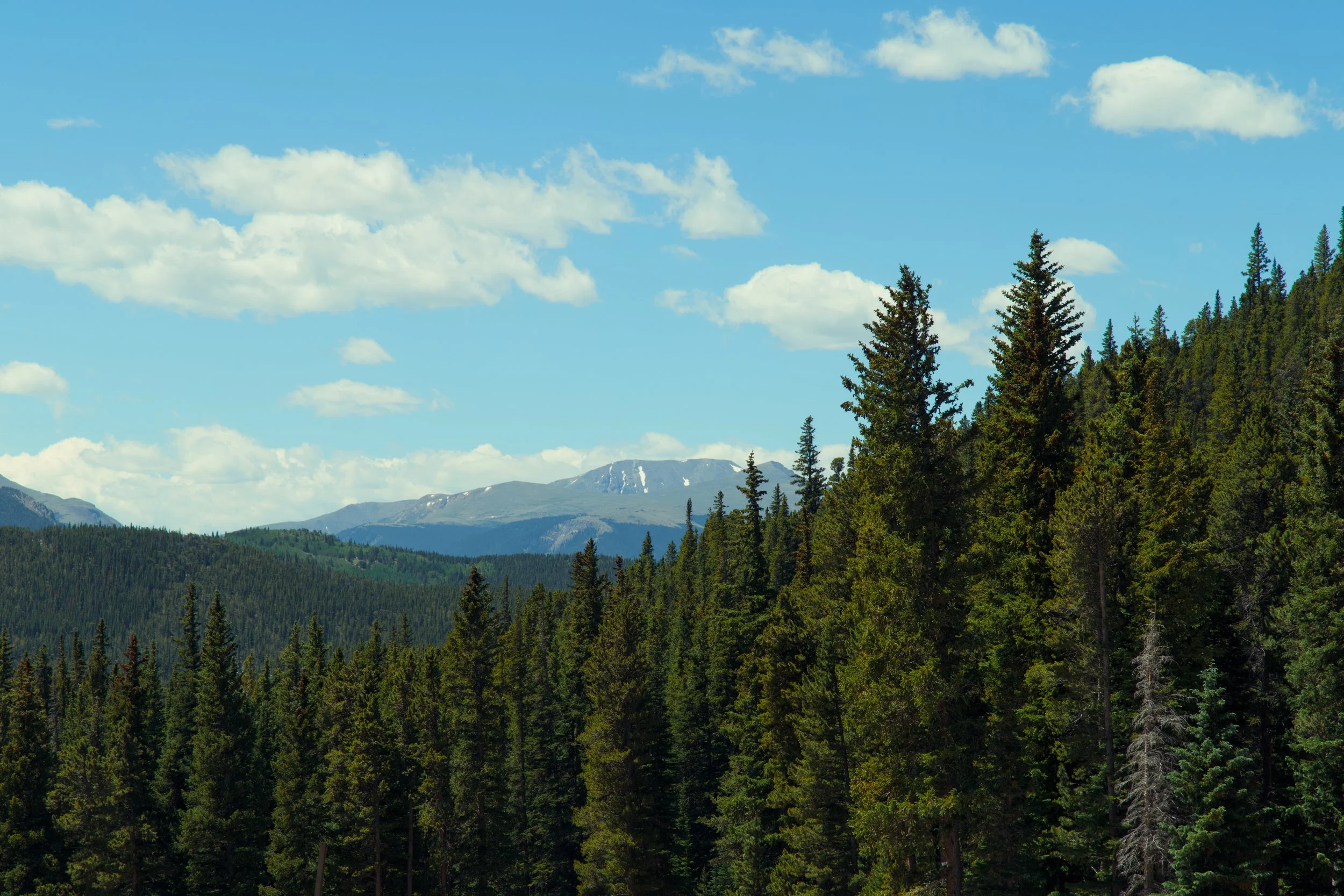185A5303_compressed.jpg