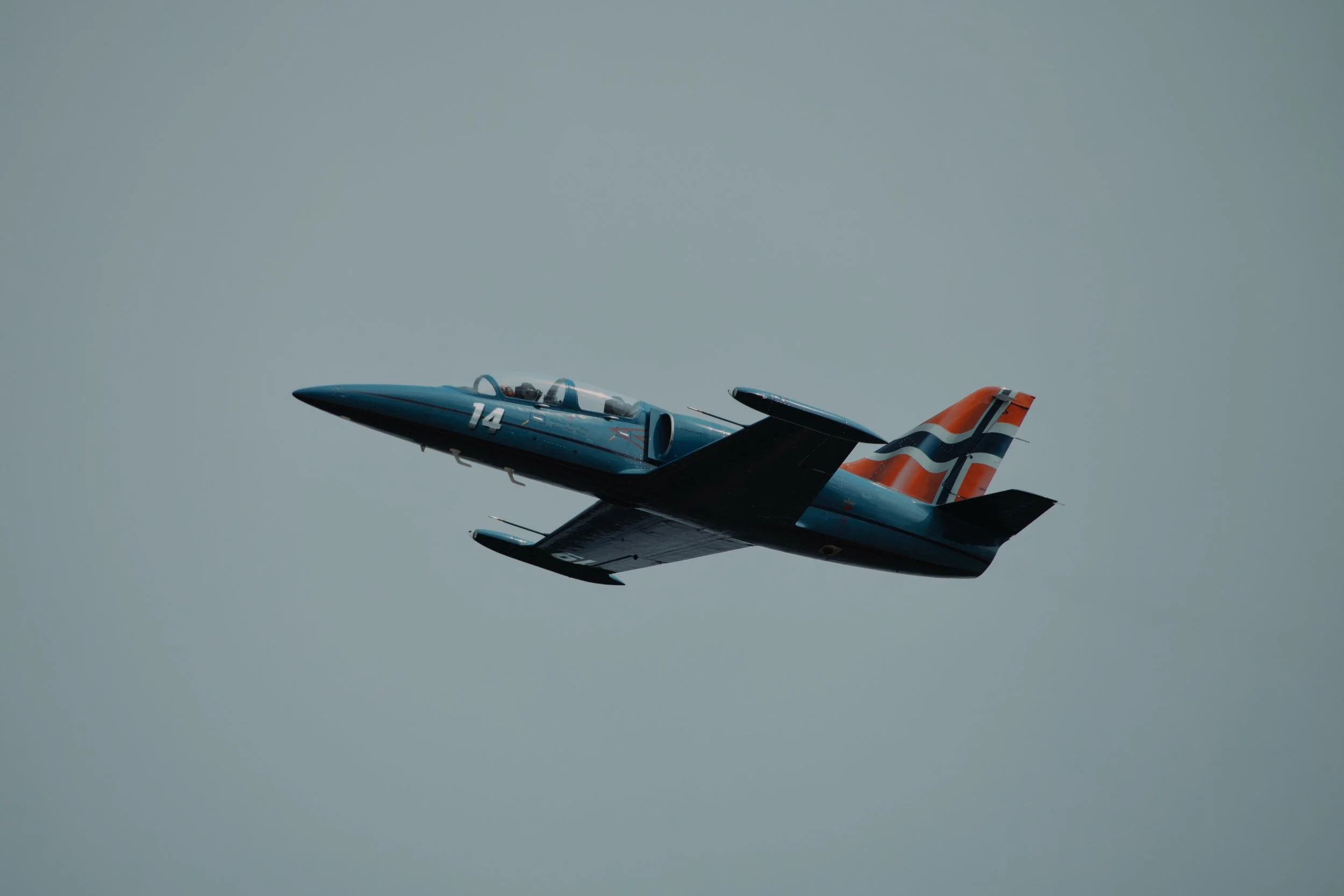 185A9390_compressed.jpg
