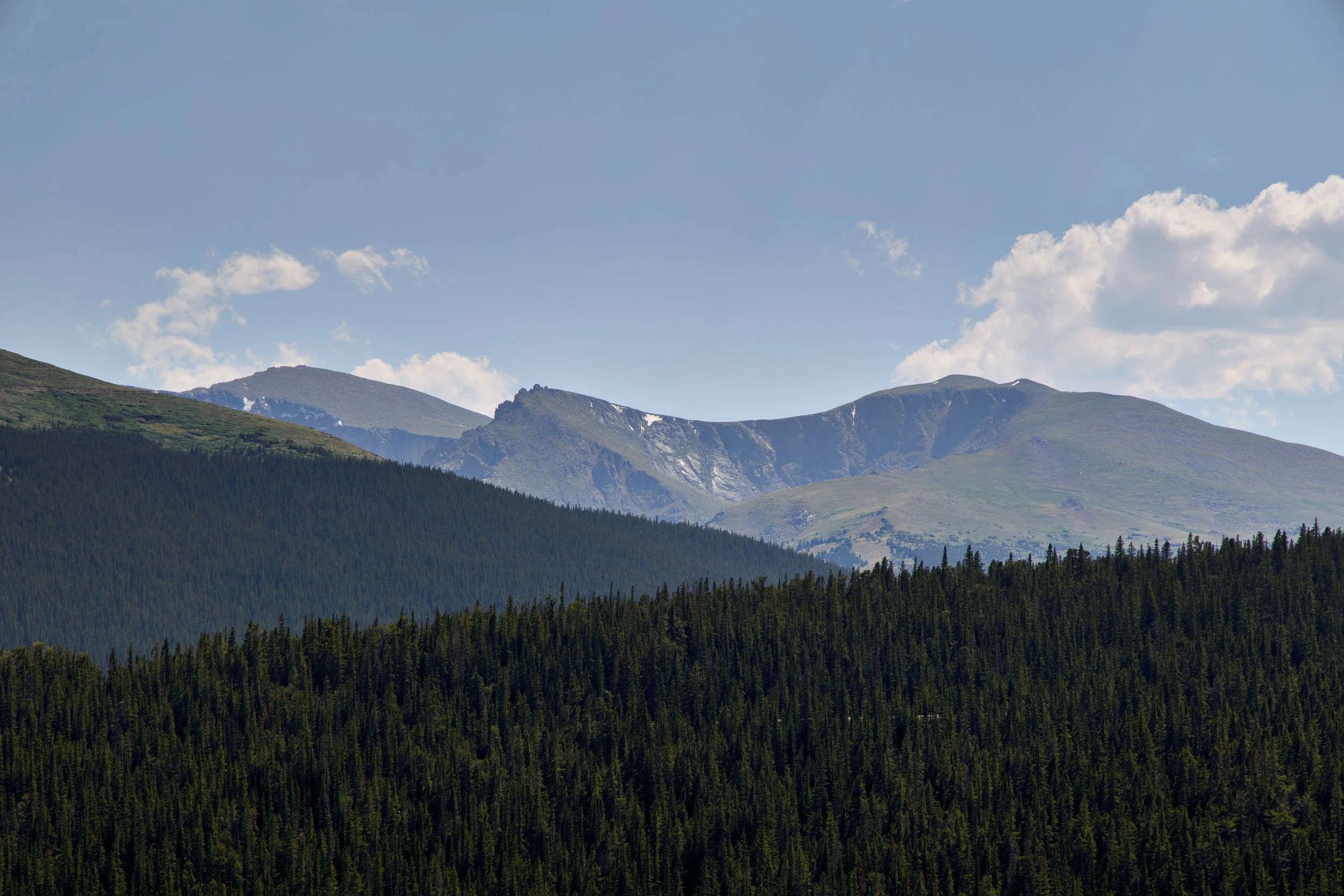 185A6251_compressed.jpg