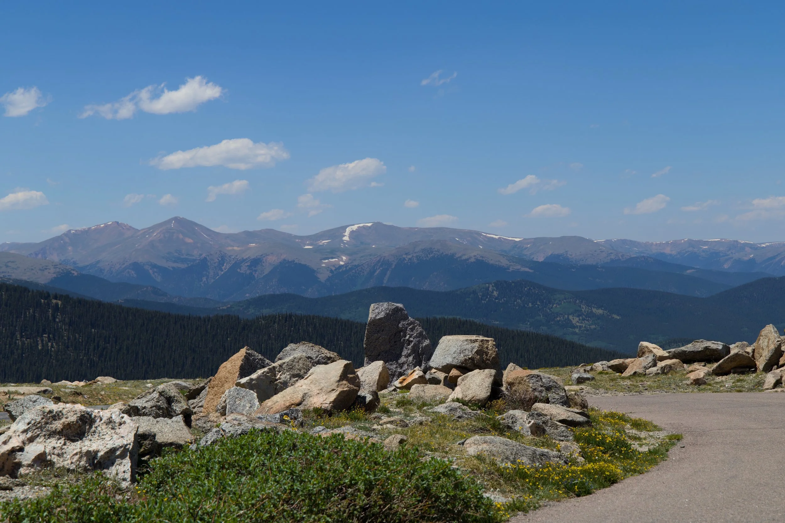 185A7350_compressed.jpg