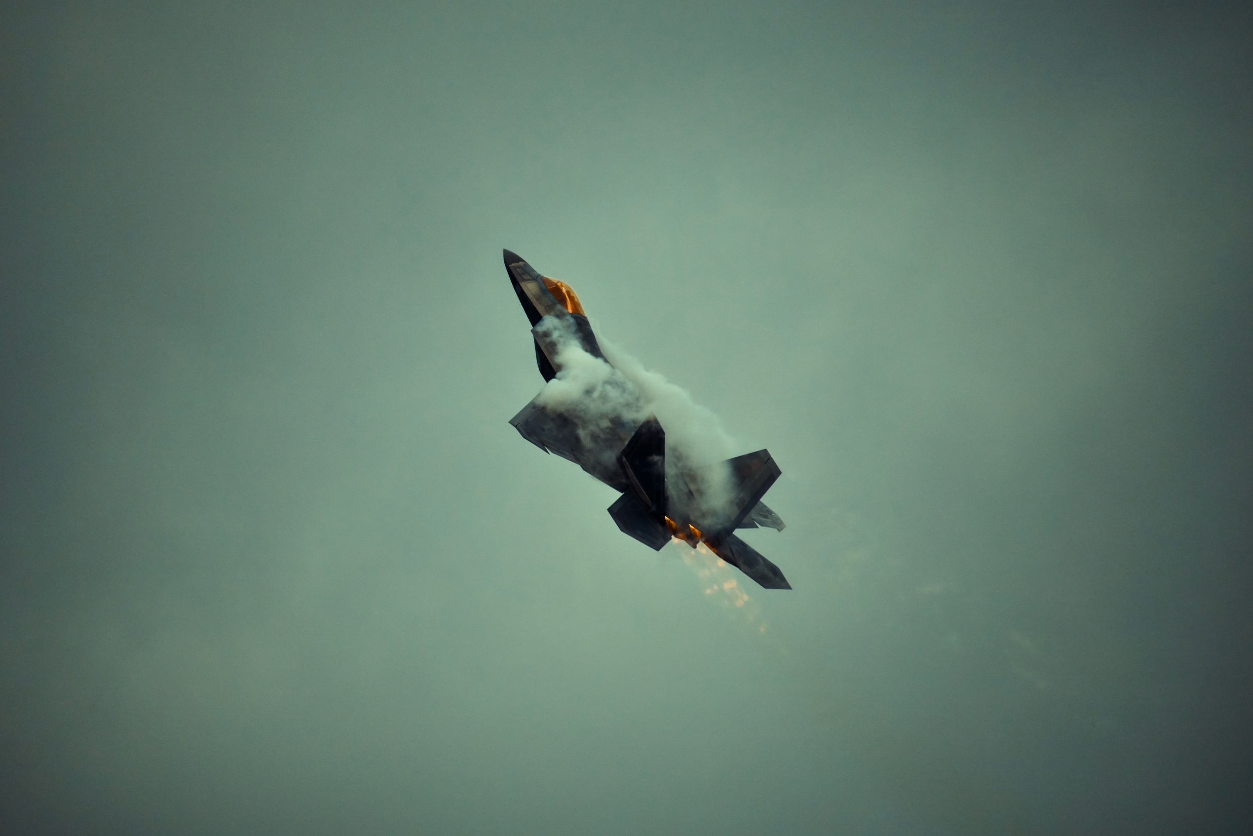 185A1555_compressed.jpg