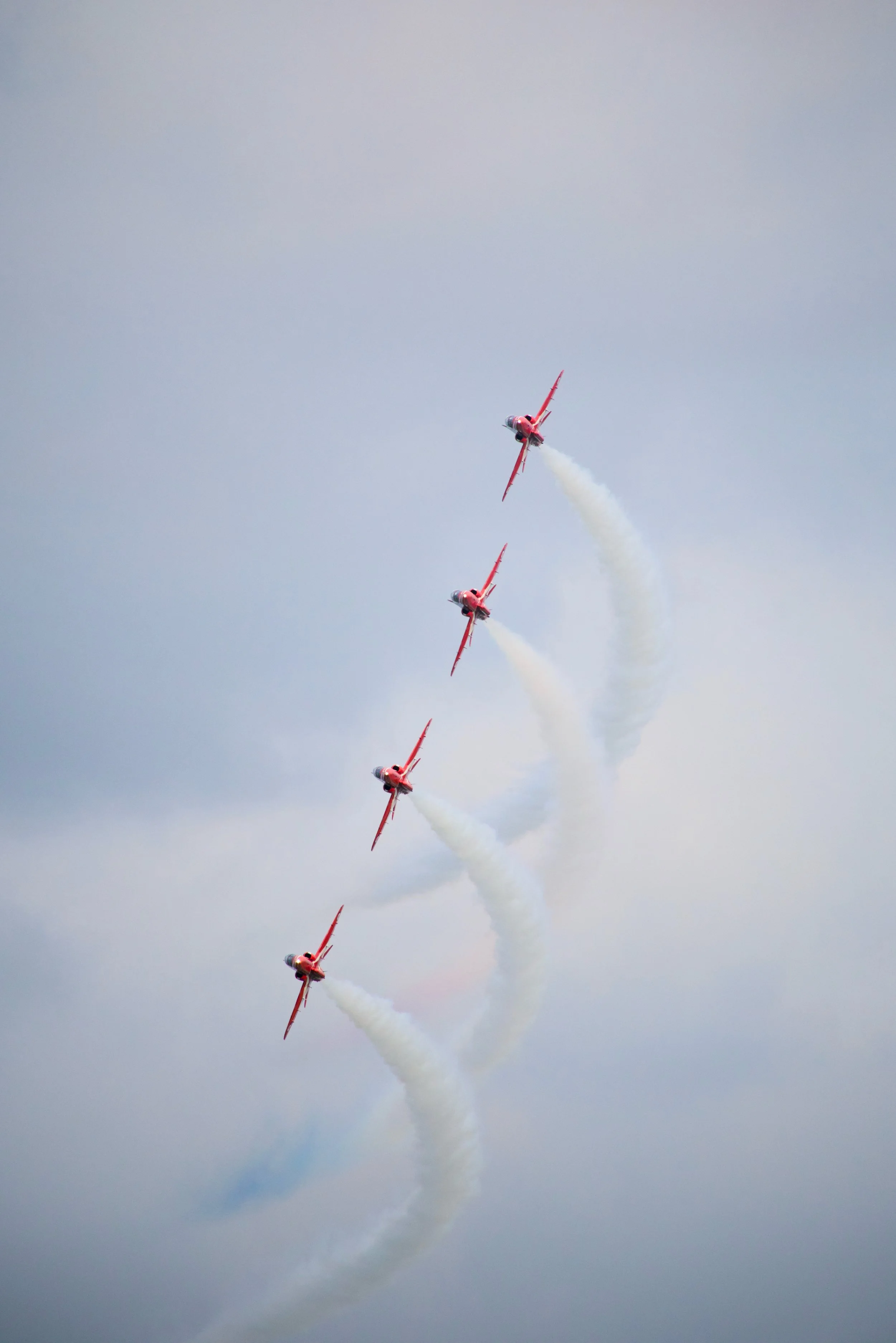 185A3826_compressed.jpg