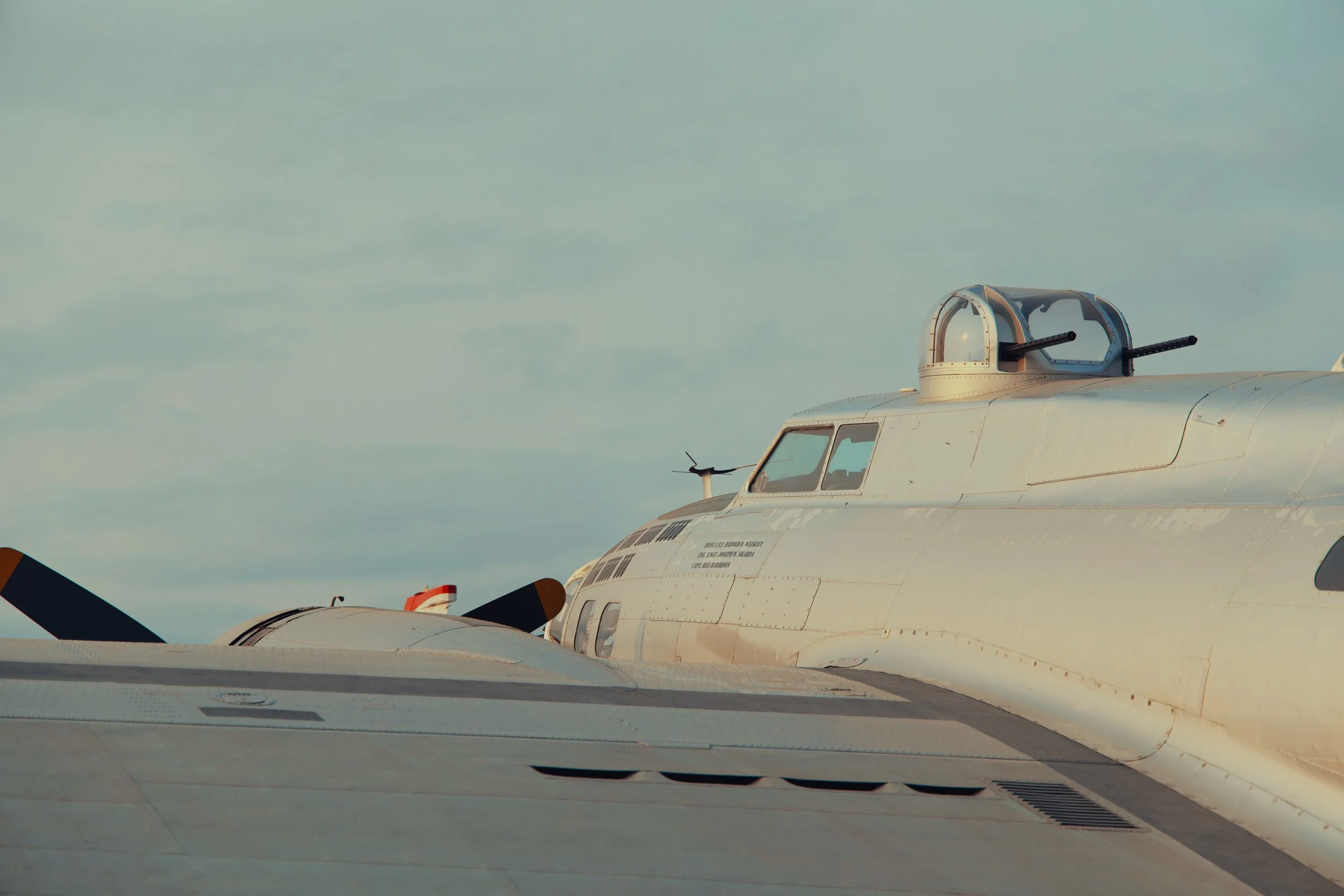 185A4342_compressed.jpg