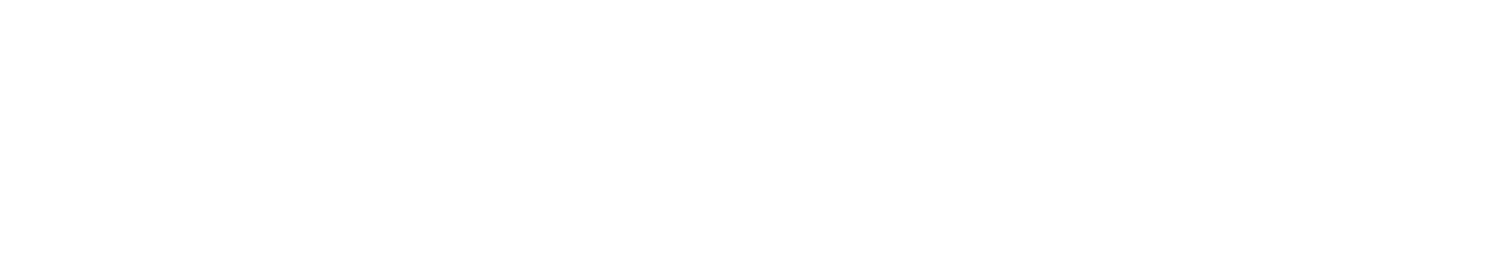 PREMIER HAIR