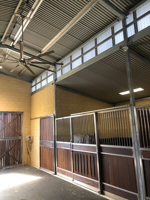 cavallino_stables_04.jpg