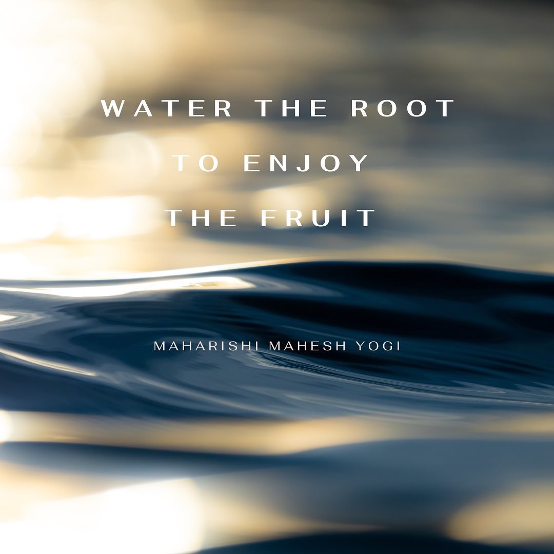 To enjoy the fruits of life, you must first water the roots. Just like in life, your outer happiness comes from nurturing yourself on the inside. By practicing meditation, you grow your outer joy. 

🌿 For the past 6 years, I&rsquo;ve been practicing
