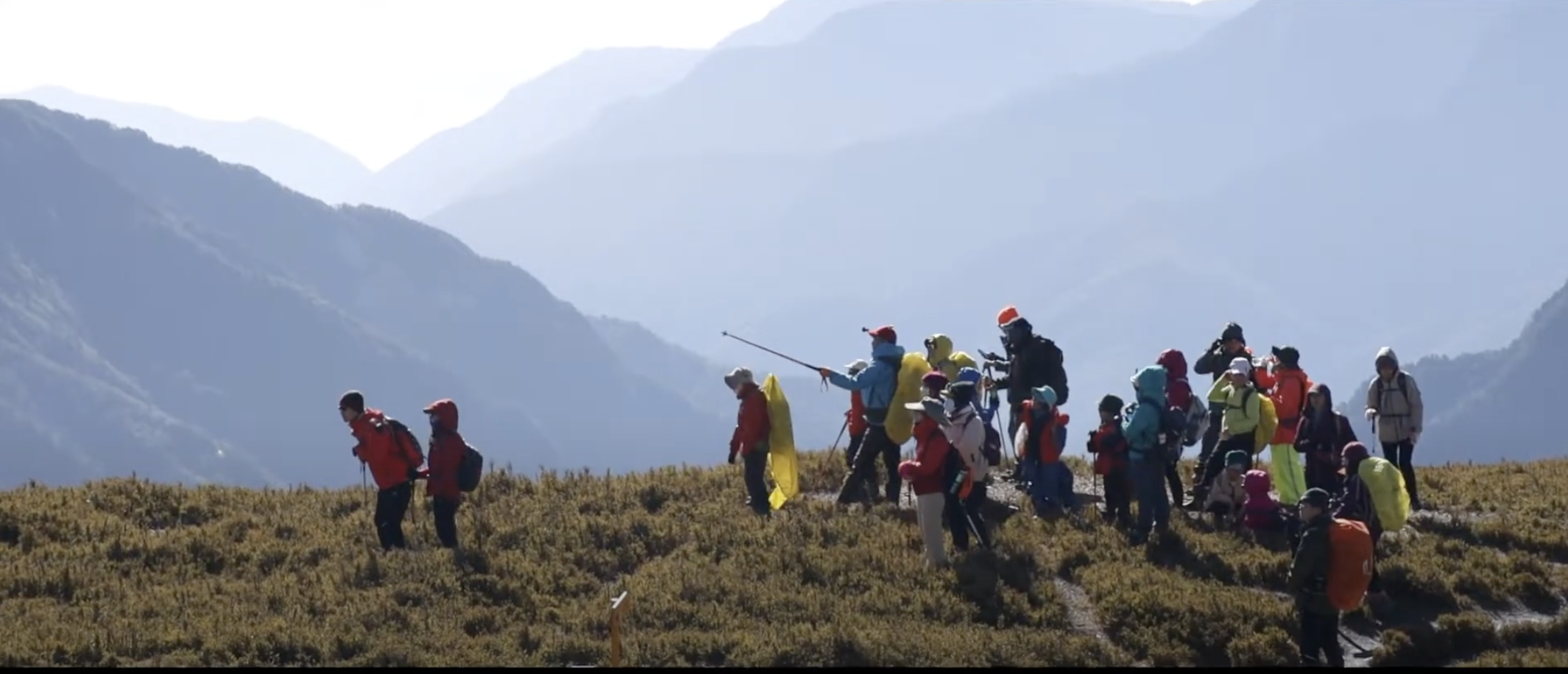 截圖 2024-03-15 上午10.58.17.png