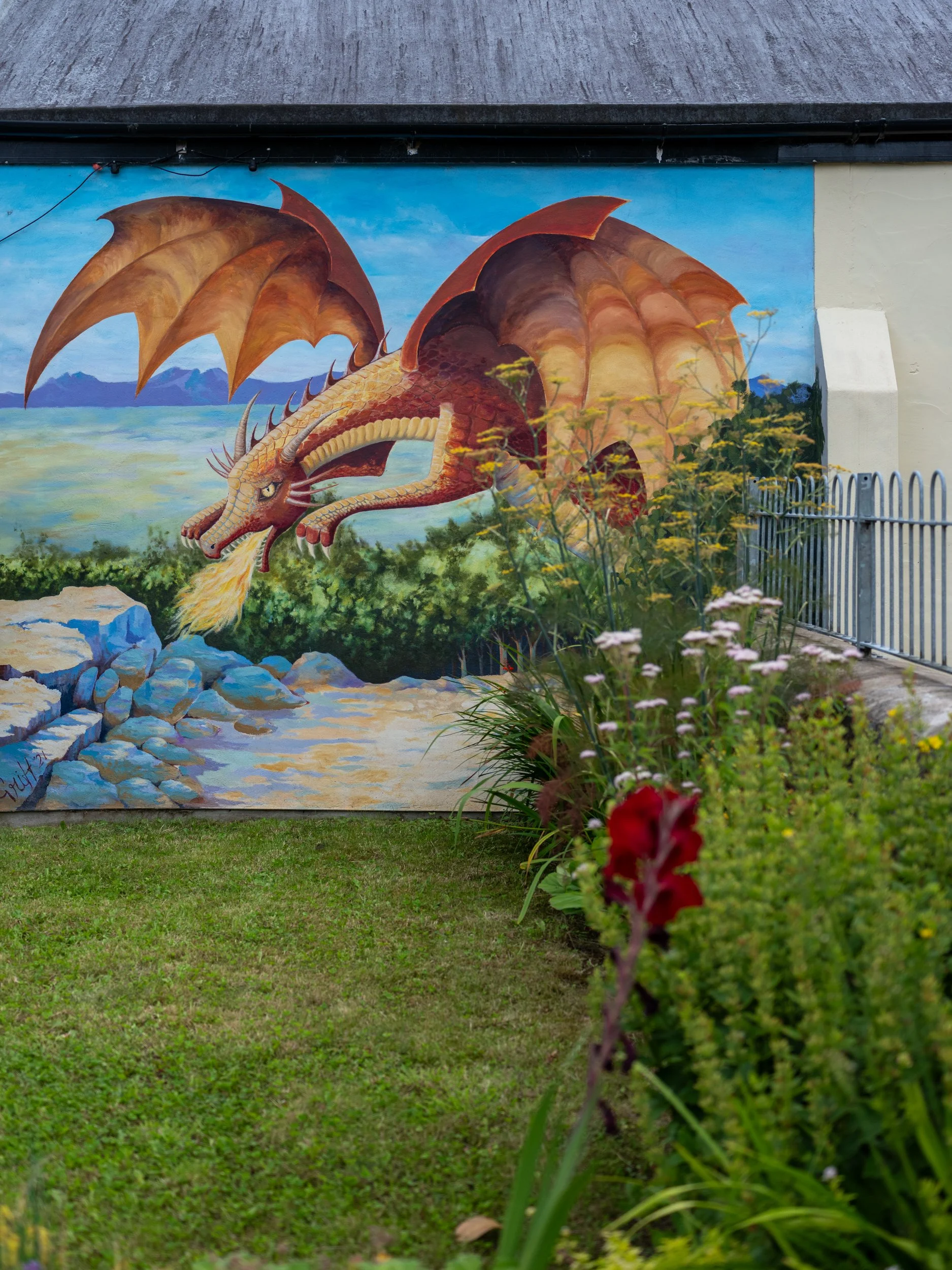 DSCF7095.jpg
