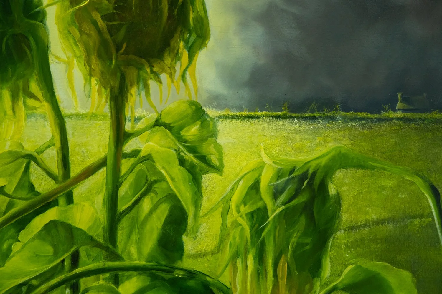 Rosemary Sharman exhibition launch