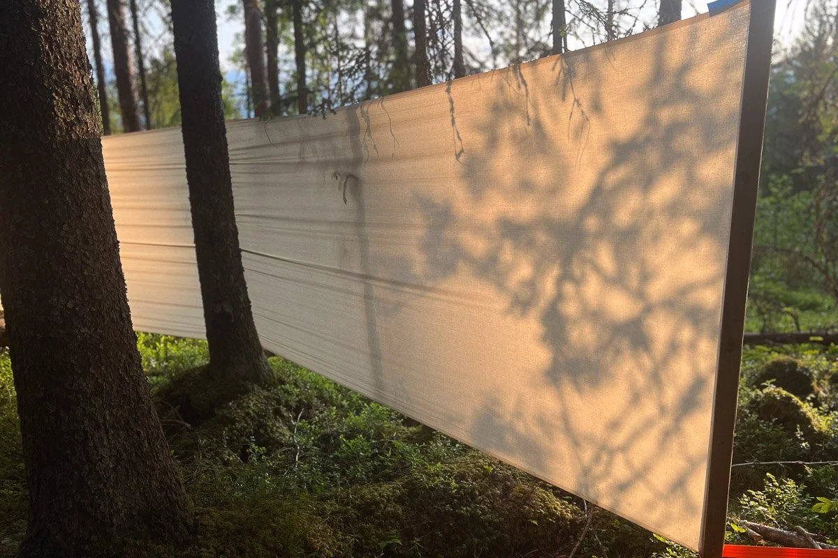 Åpning av festivaldager på KunstaRena