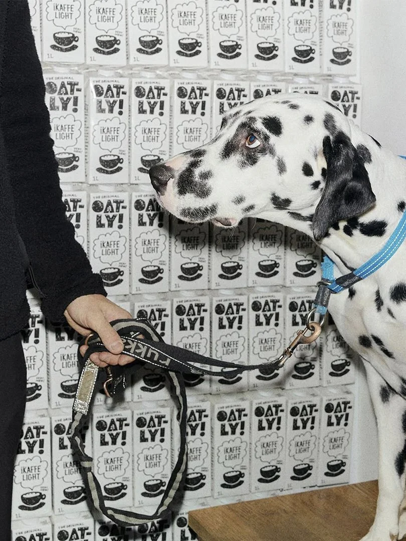 Oatly 2.jpg