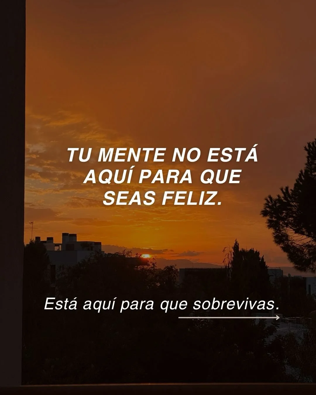 No est&aacute;s rota. Has estado sobreviviendo en piloto autom&aacute;tico.
Durante a&ntilde;os tu cuerpo aprendi&oacute; a protegerse&hellip; y tu mente a repetir lo mismo una y otra vez. Pero cuando el sistema deja de estar en alerta, todo cambia: 
