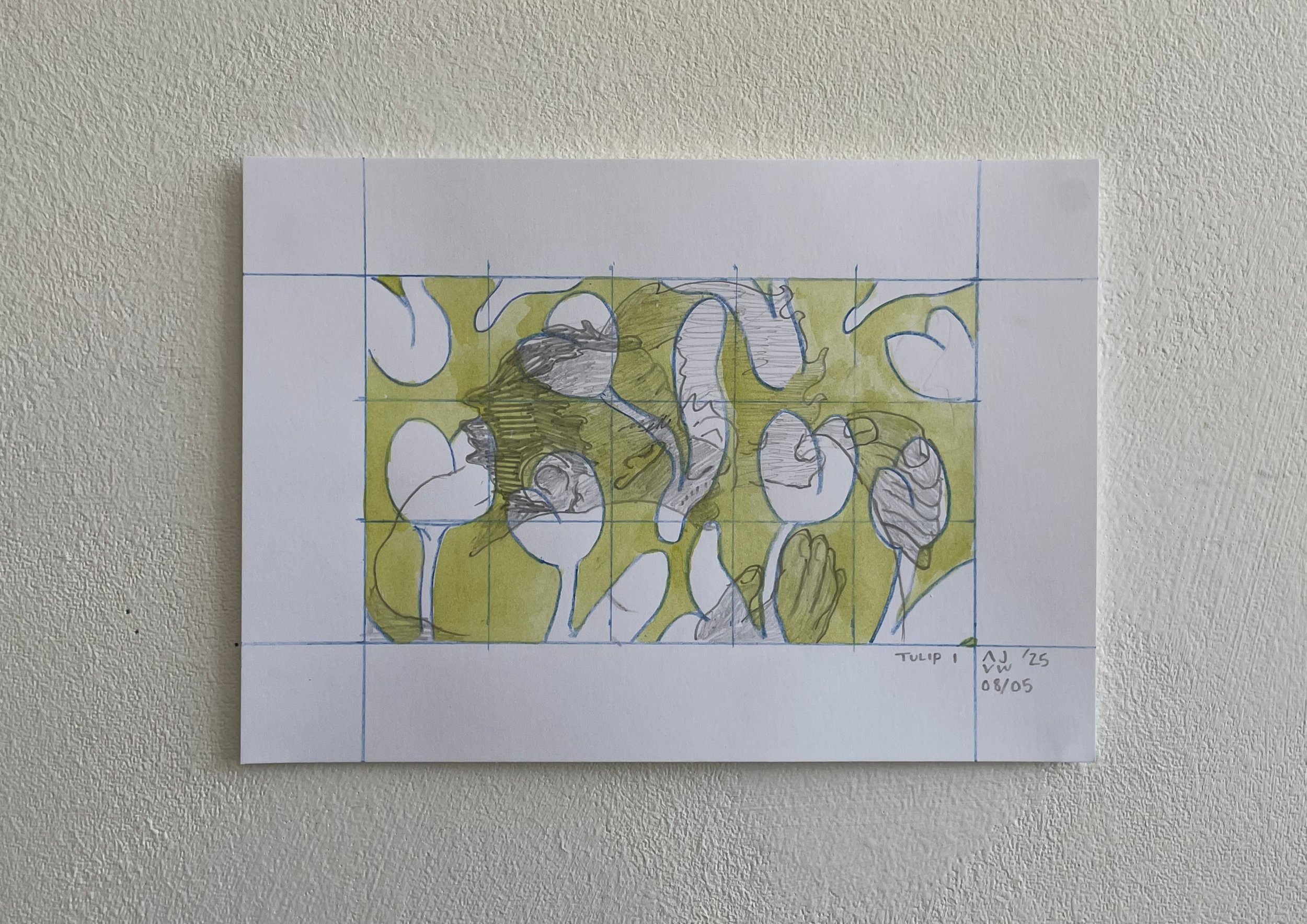 Tulip 1.jpg
