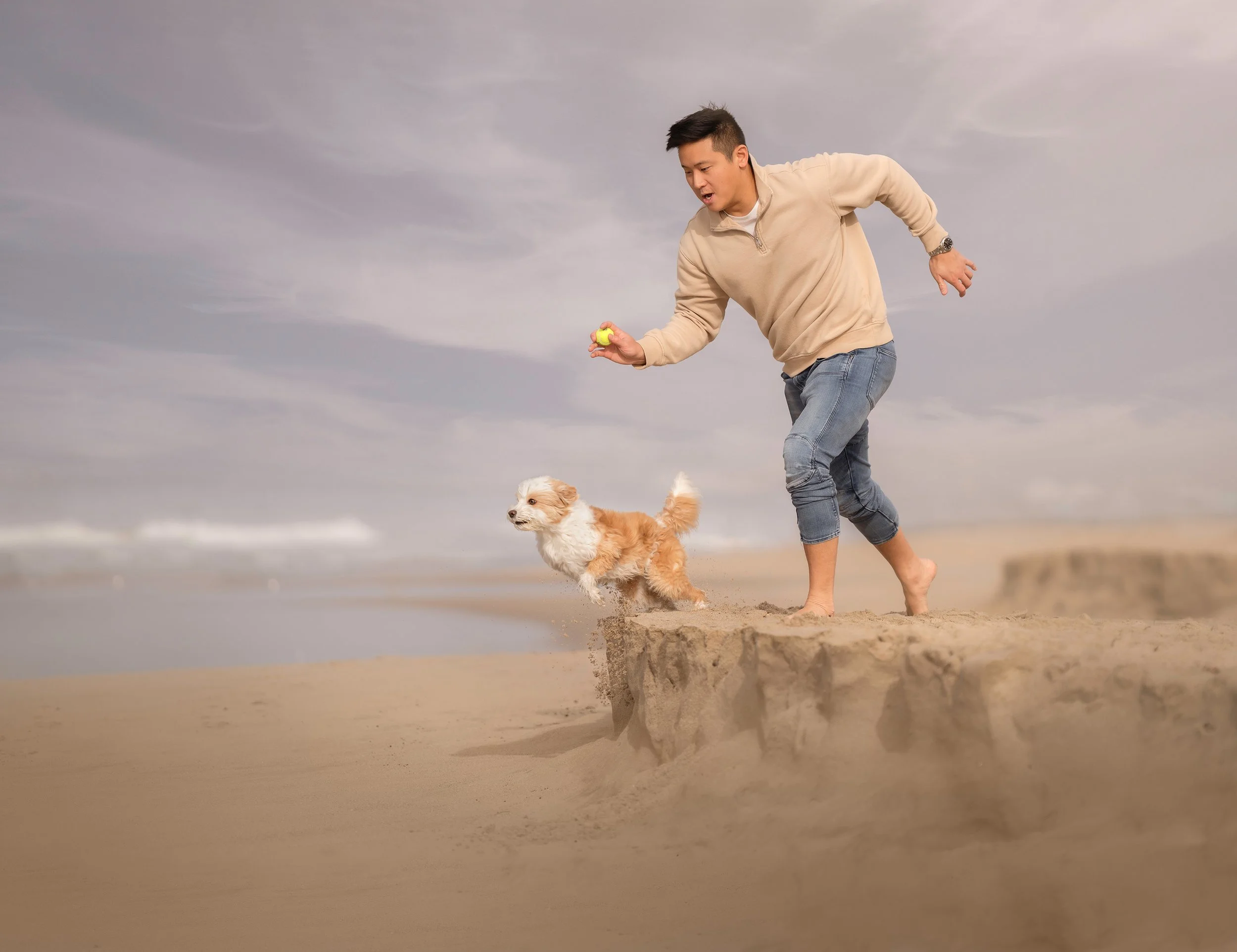 A man playing catch with a small brown and white poodle mix dog on a beach with cloudy sky.