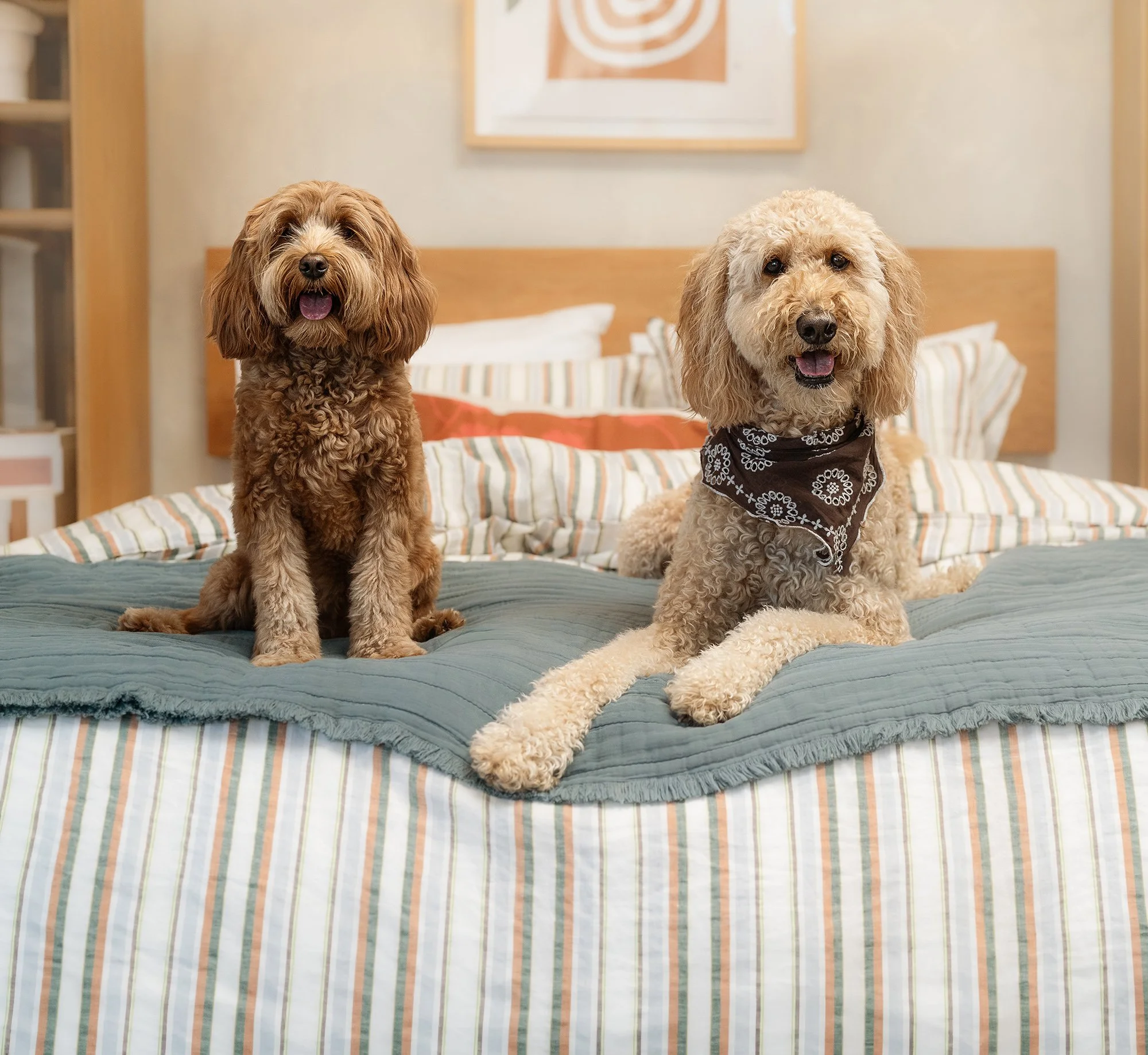 Nala & Barbie - Dog Daze of Summer 8×10 Fine-Art Print + Digital