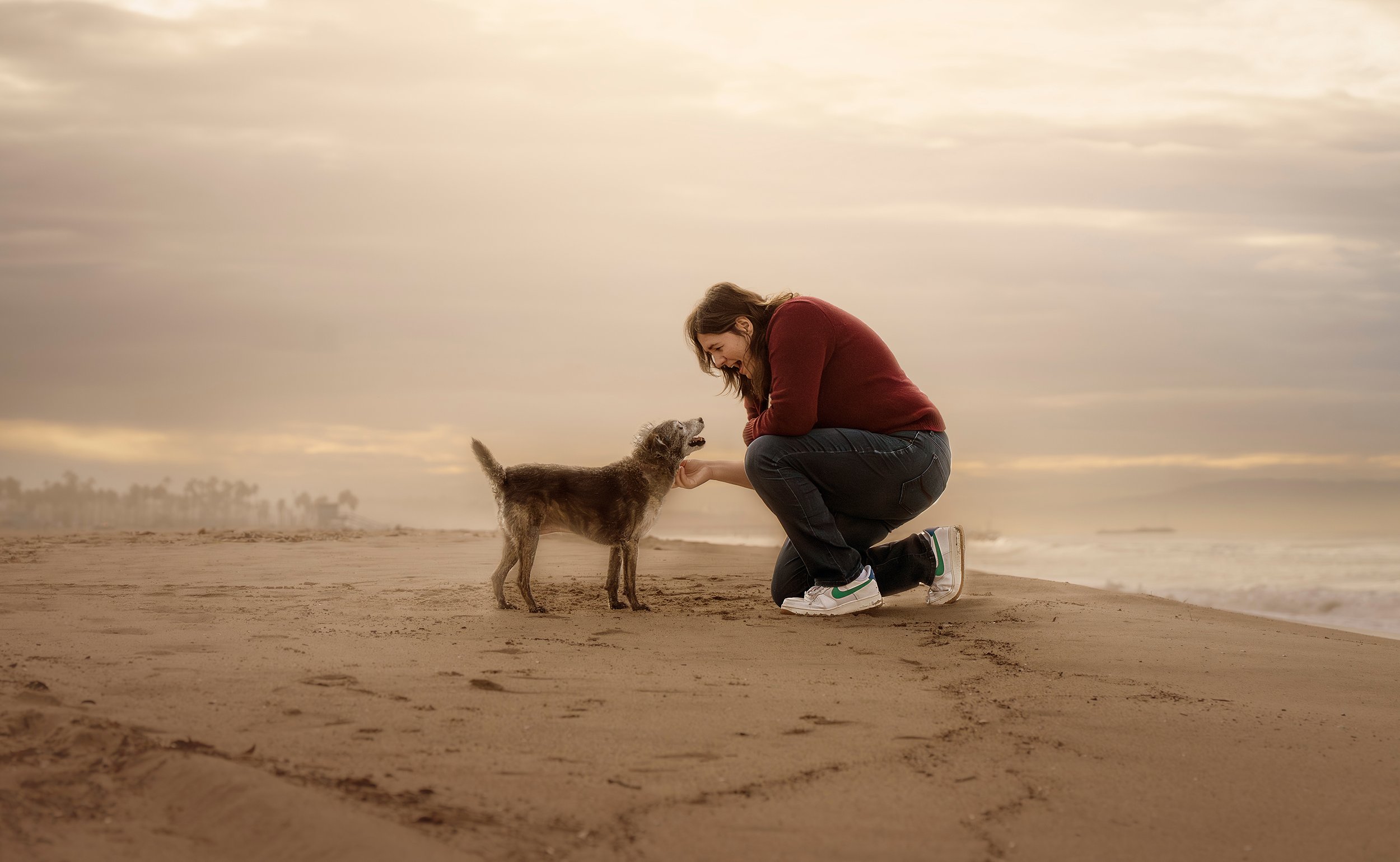 A woman kneeling on a sandy beach, smiling at a small dog. The sky is cloudy, and the ocean is visible in the background.