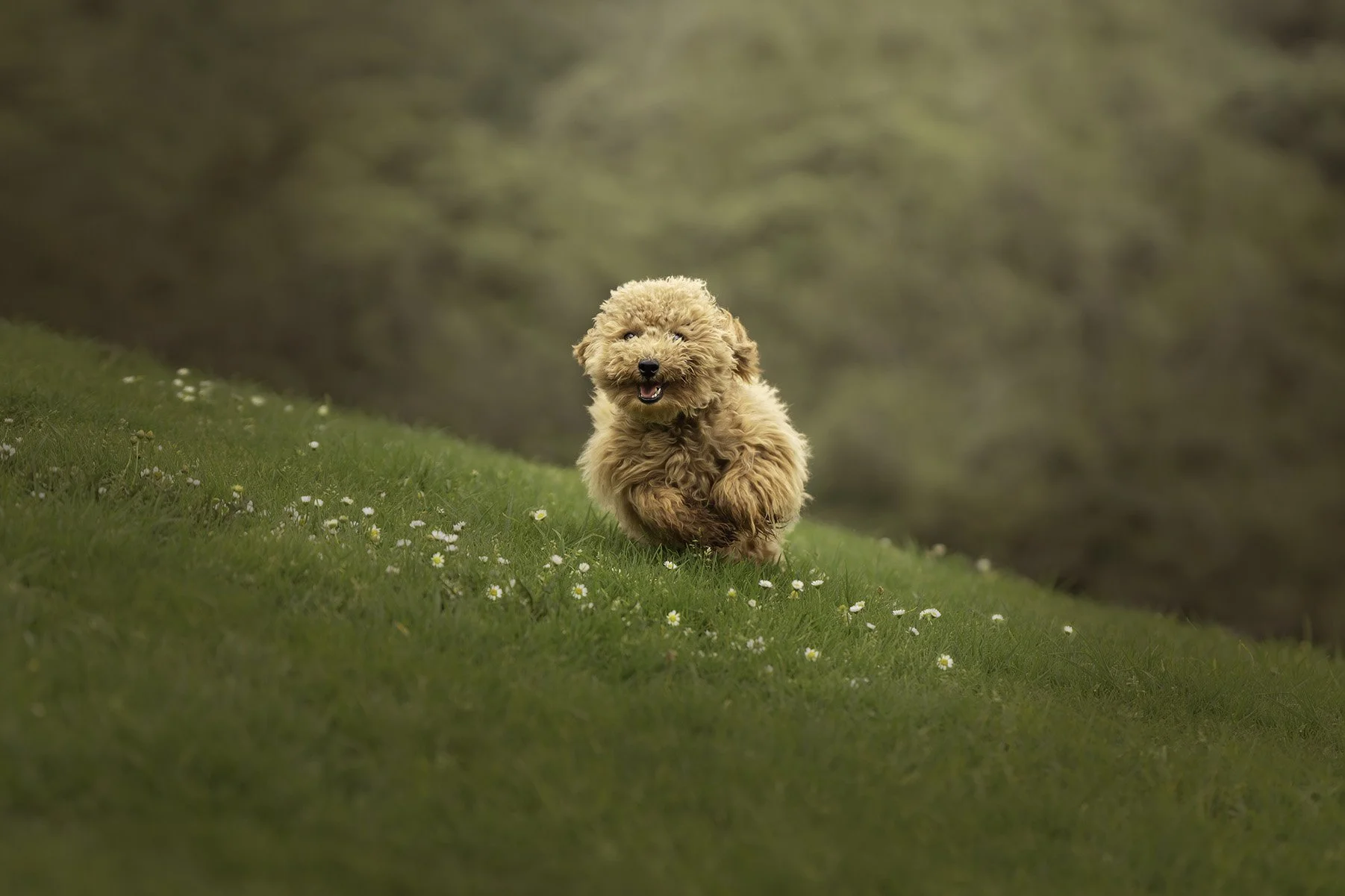 DSC01220-Edit Low.jpg