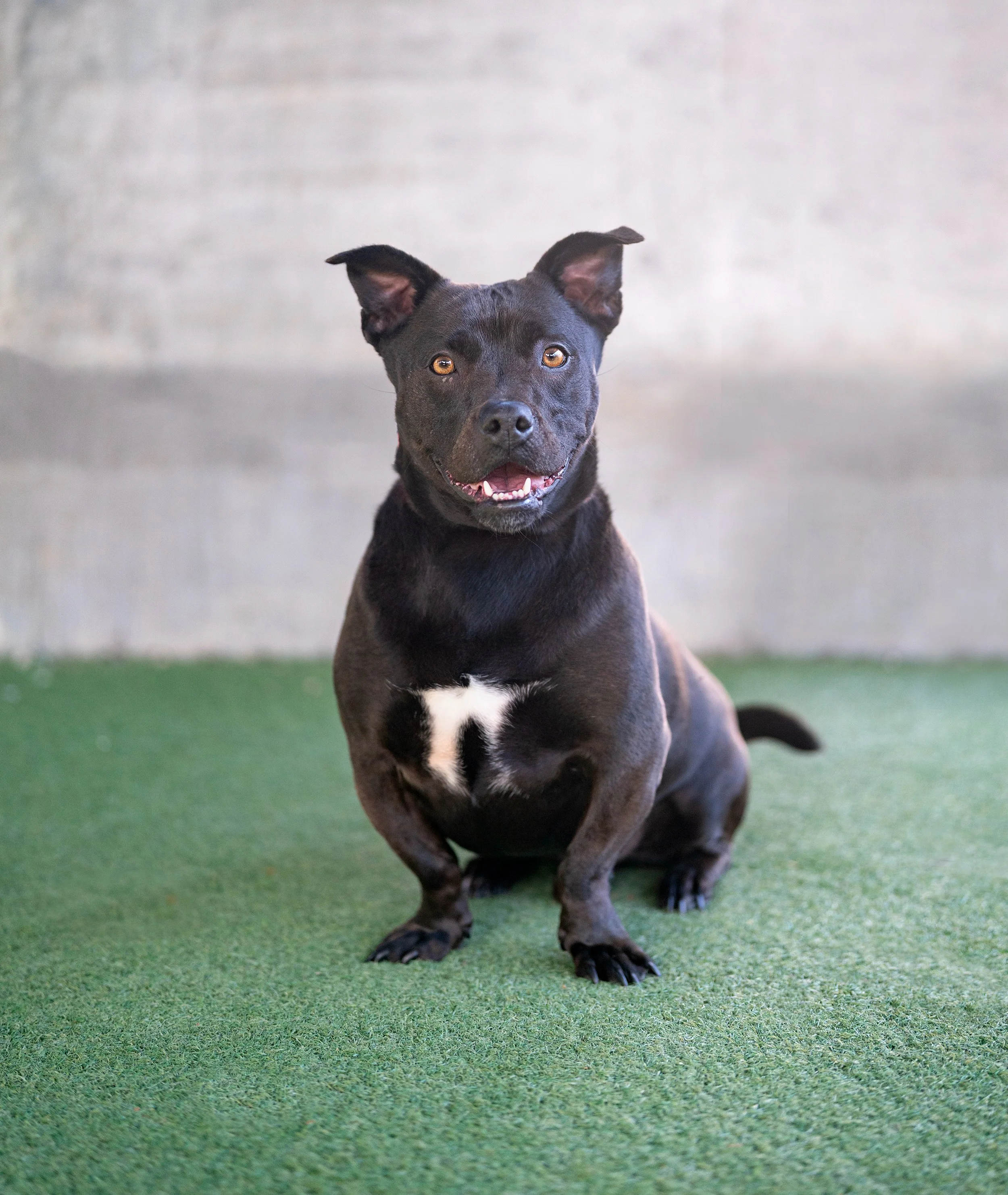 DONNIE #A2256469