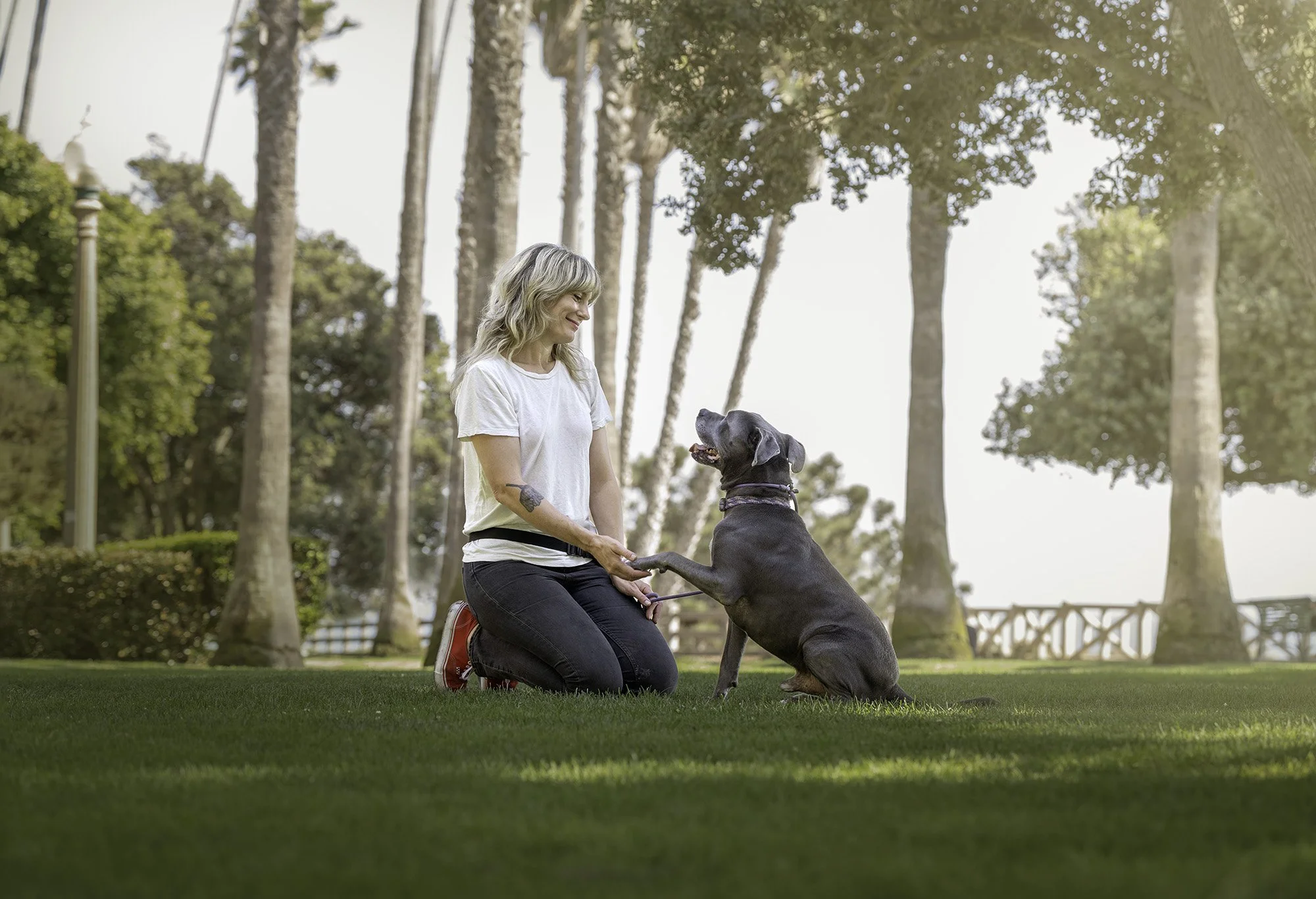 A woman with blonde hair, wearing a white t-shirt and black pants, kneeling on green grass, holding hands with a large pit bull type dog, smiling and looking at the dog in a park with tall trees and clear sky in the background.