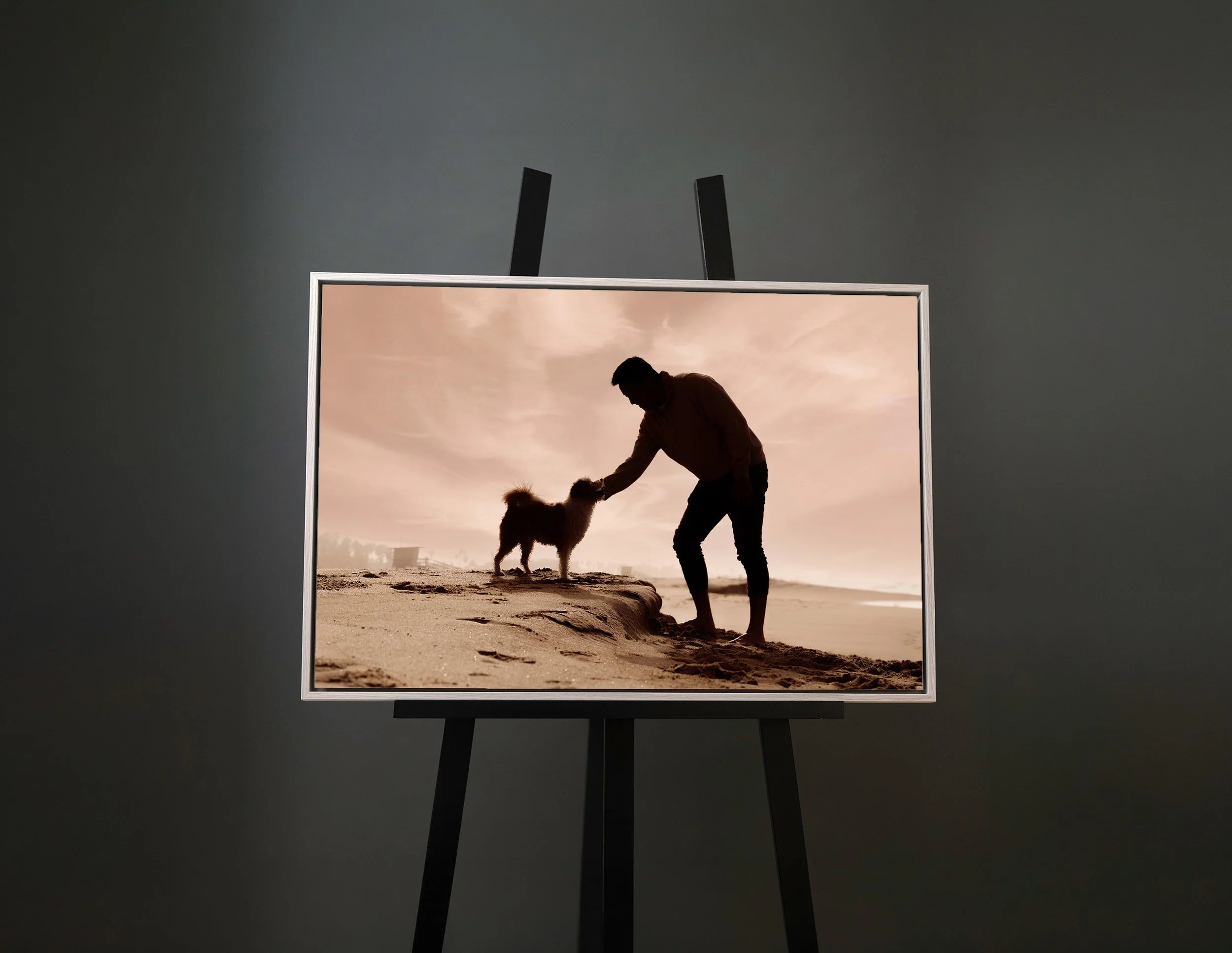 A framed photo of a tan French Bulldog with a tennis ball on a wooden floor. The picture is displayed on an easel against a dark gray background.
