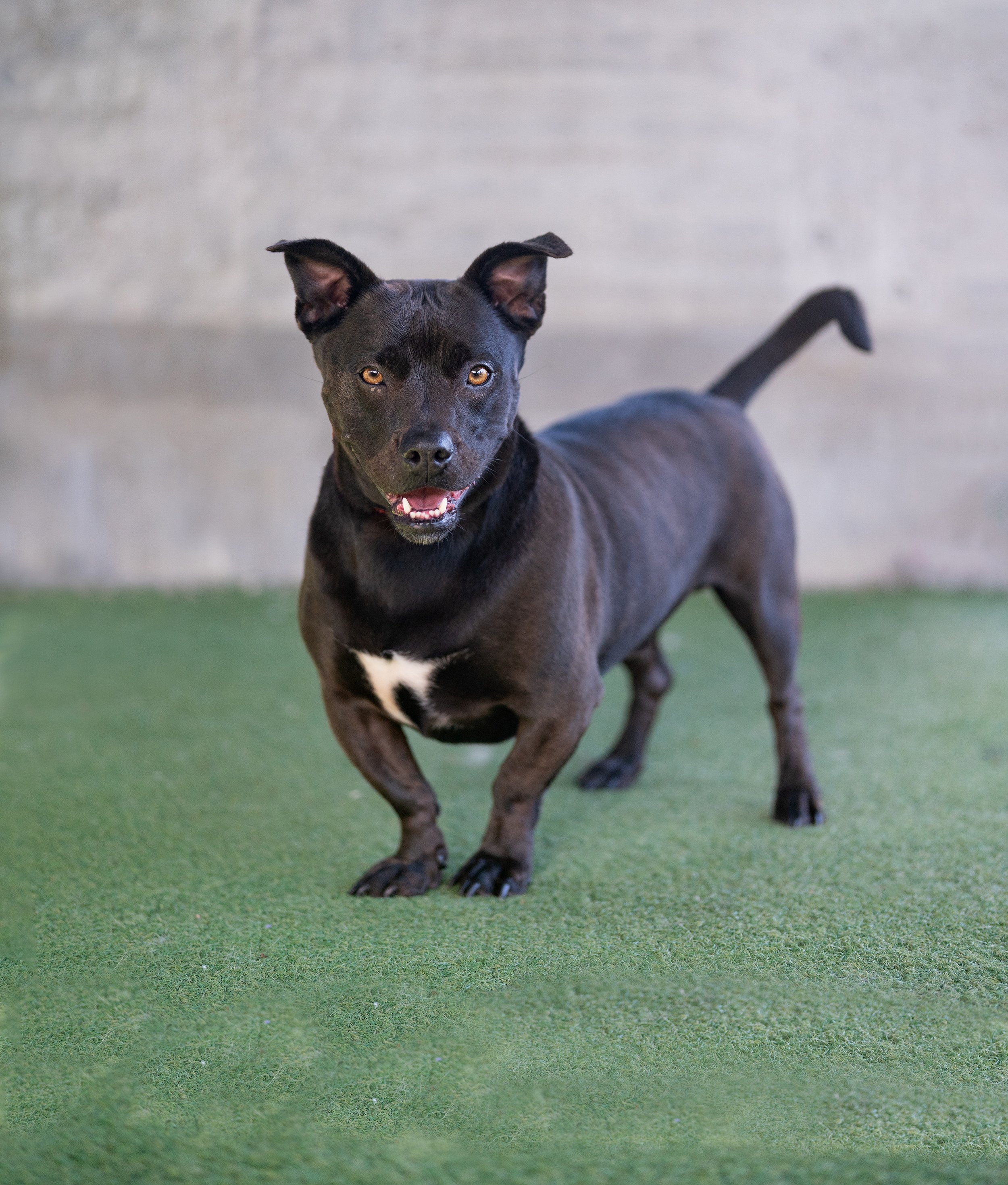 DONNIE #A2256469