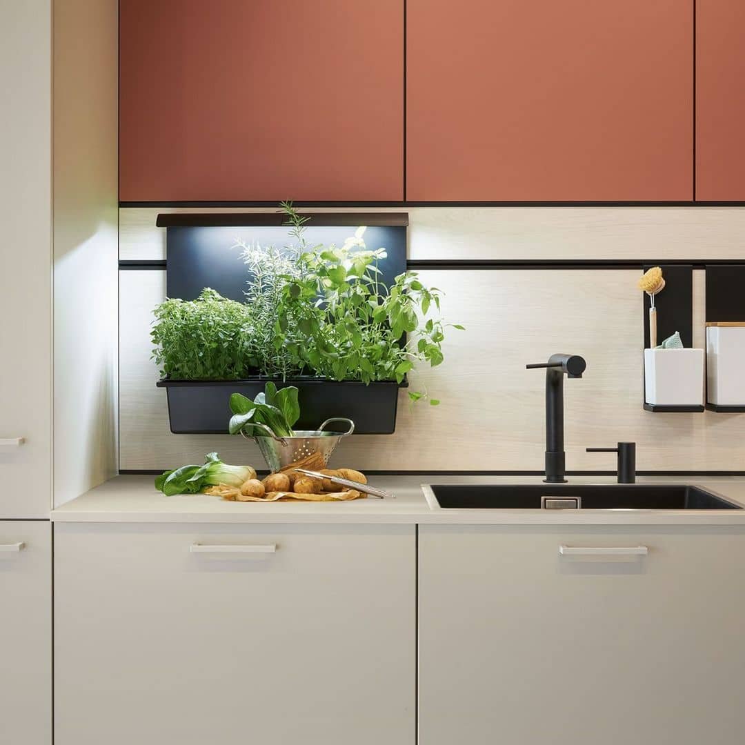 Kitchen countertop with fresh herbs and vegetables, including bok choy and ginger, and a black container filled with green plants above a black sink with a black faucet.
