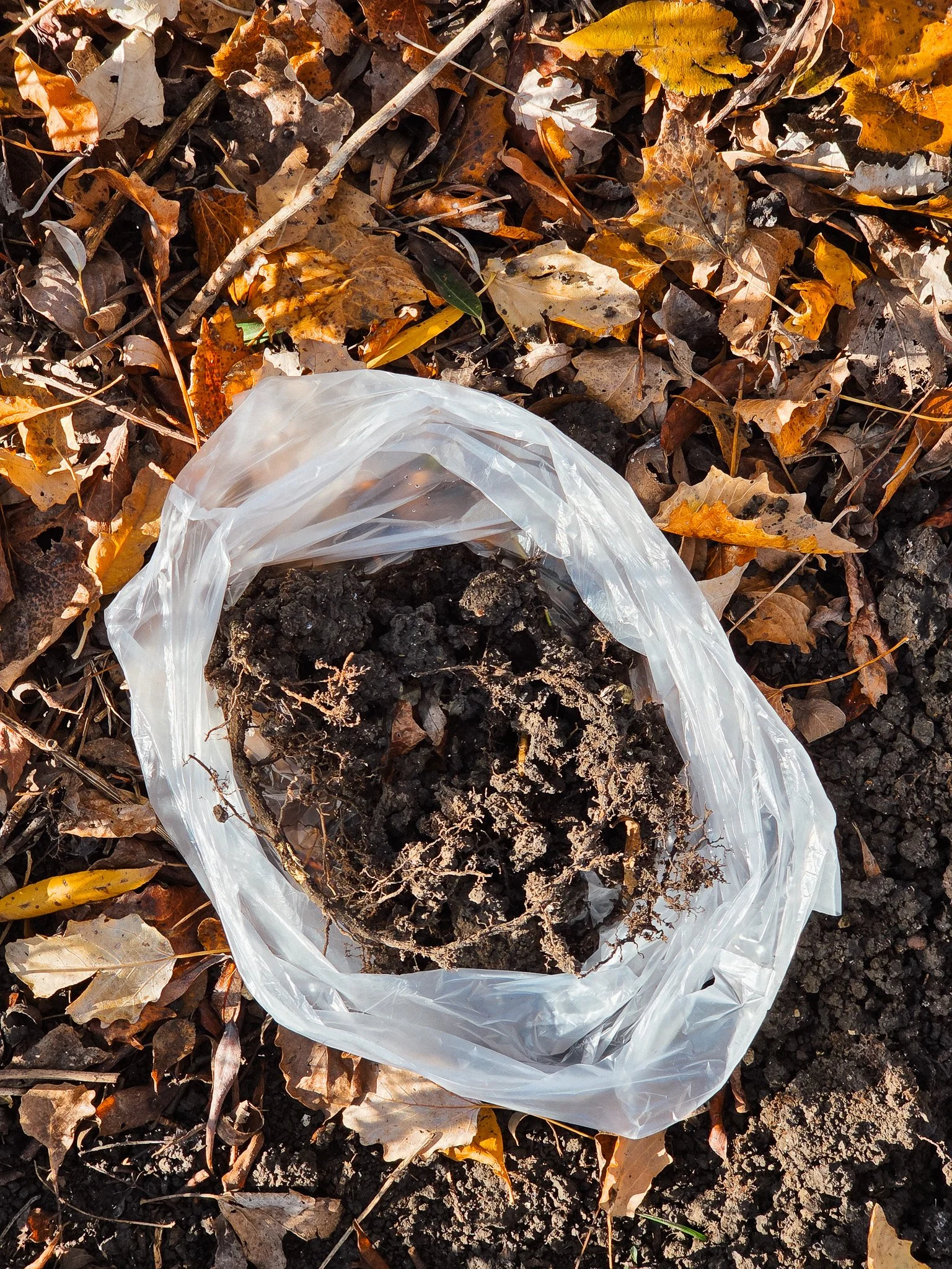 Truffle bab_novinka_kontrola25_3.jpg