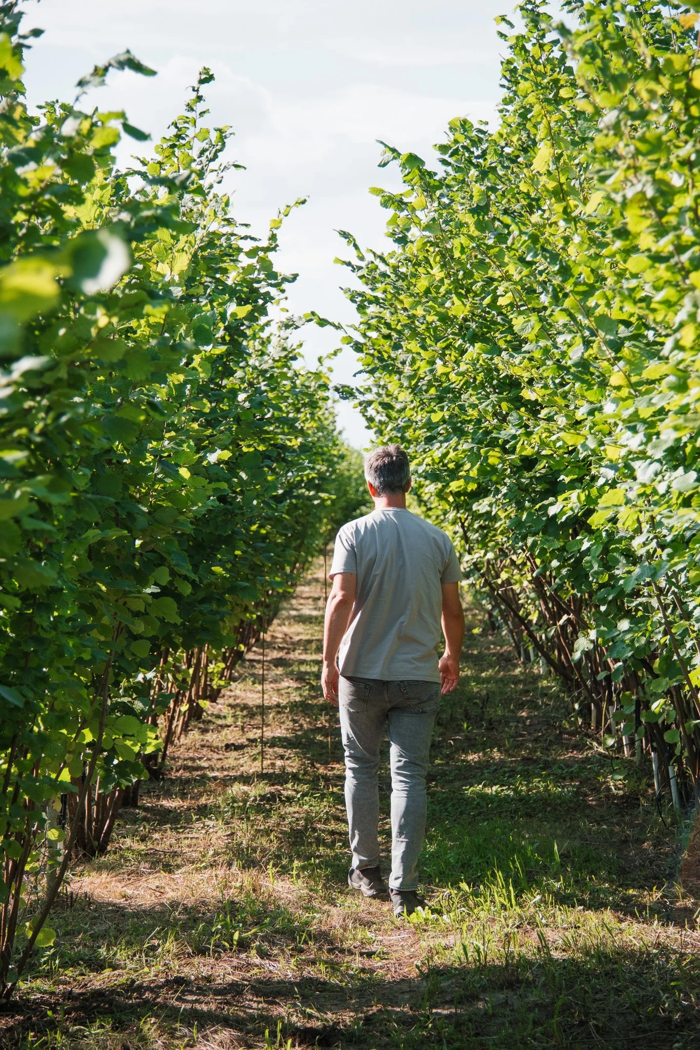 Pôda je kľúčová