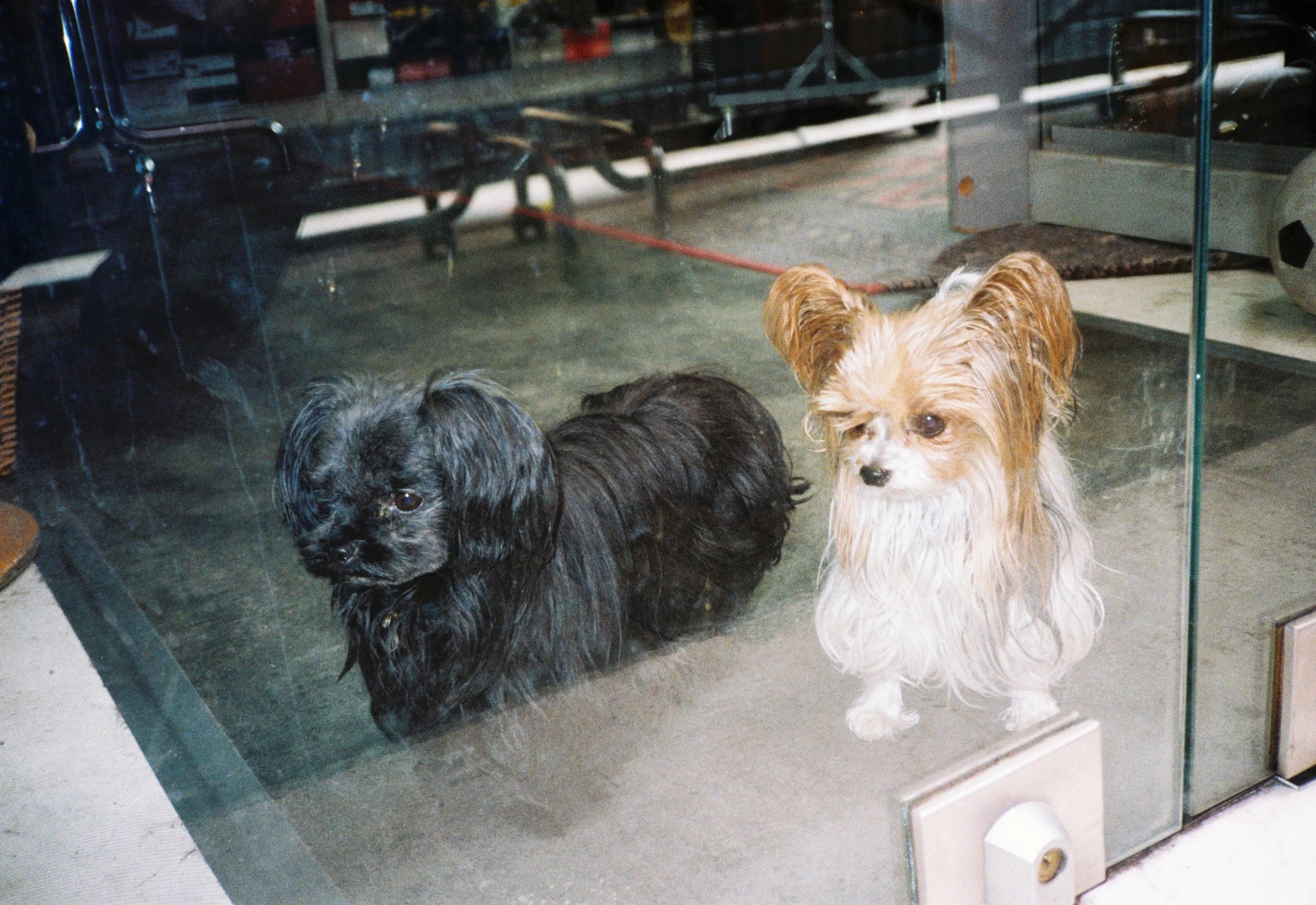 H_000076--009--VK.jpg