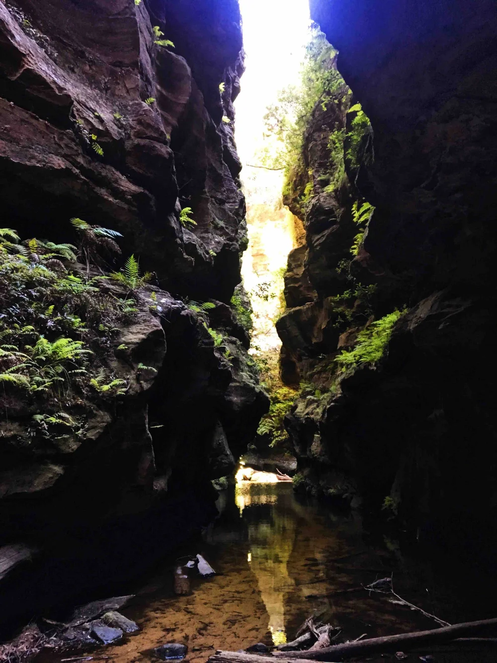 Grand Canyon Walk 2.jpeg