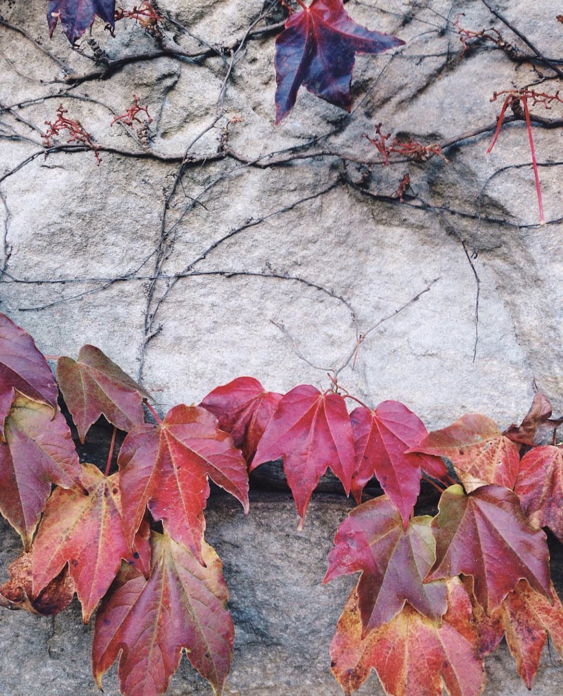 The Archives: Seasons