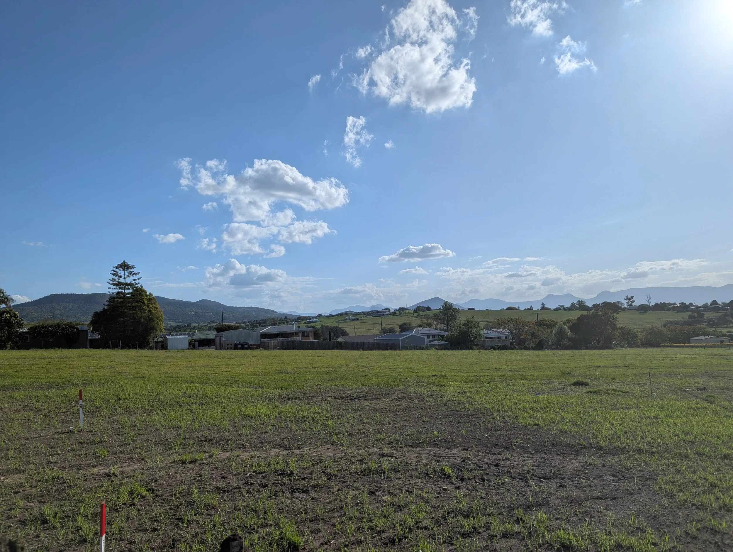 PXL_20251119_061414589 (1).jpg