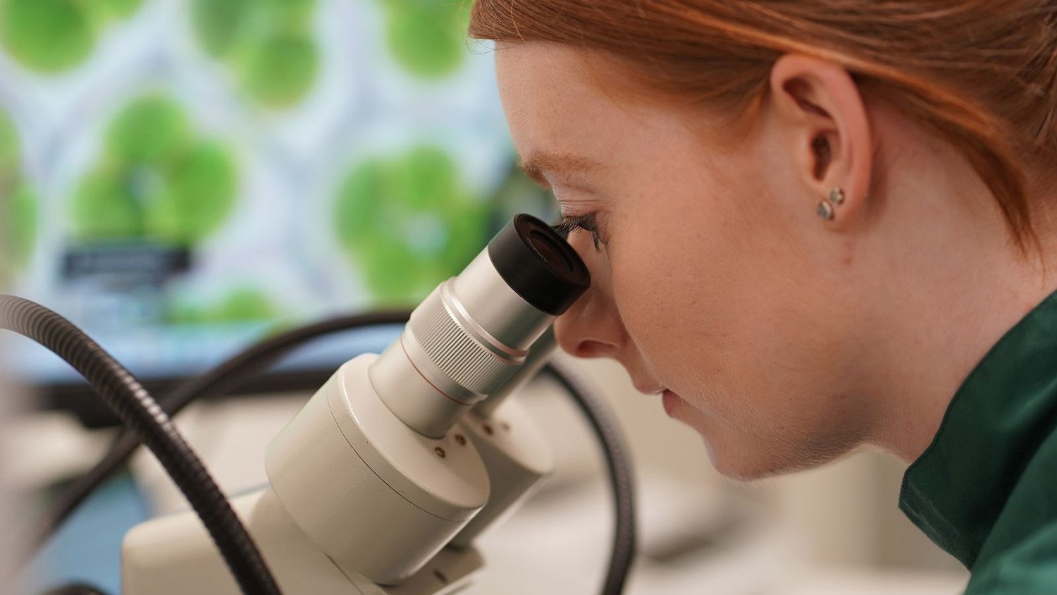 Green Bioactives awarded prestigious Innovate UK grant to develop revolutionary biomanufacturing platform